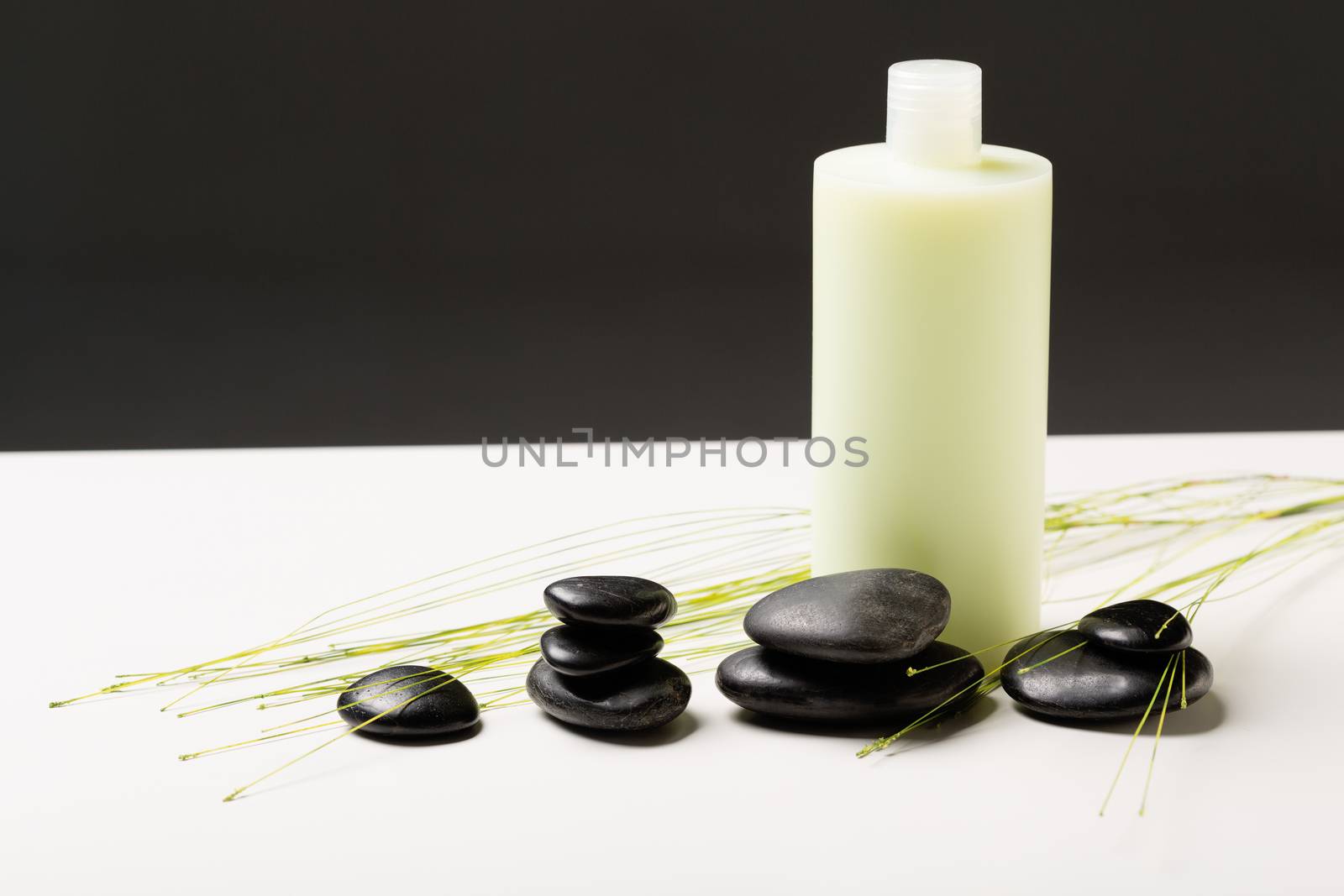 shampoo bottle, massage stones and green plant by dolgachov