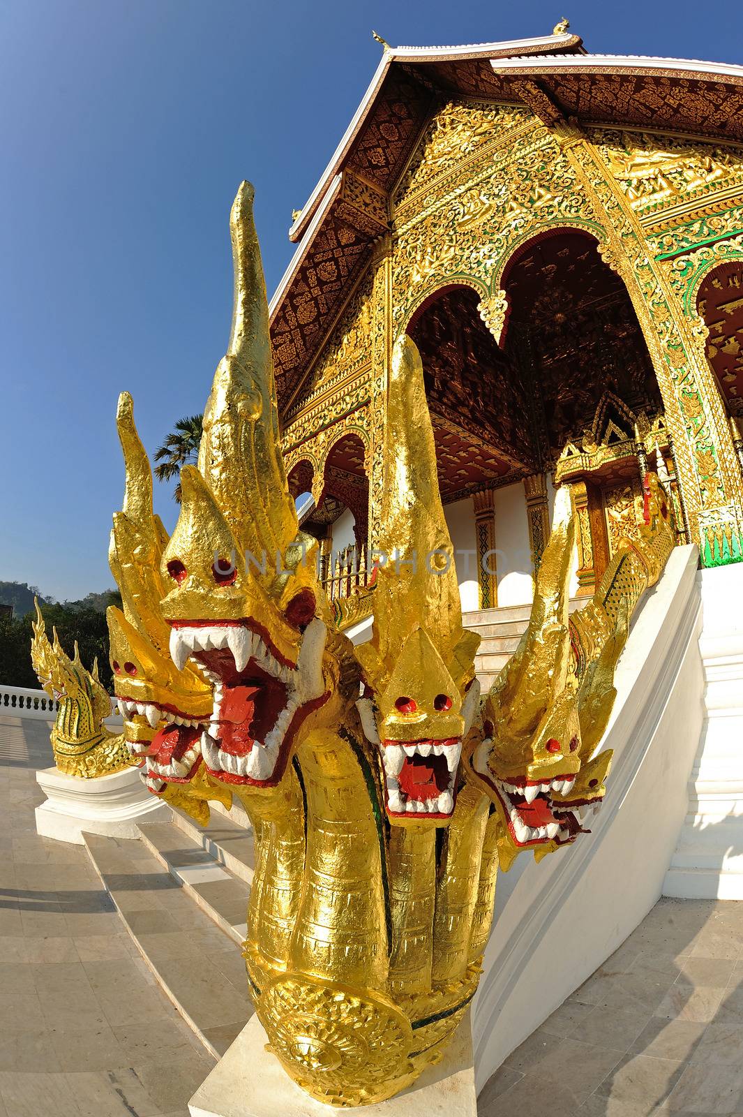 Buddhist Temple in Luang Prabang Royal Palace, Laos by think4photop