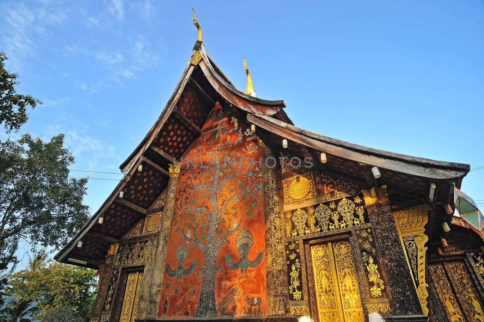 Wat xiang thong,temples in Laos by think4photop