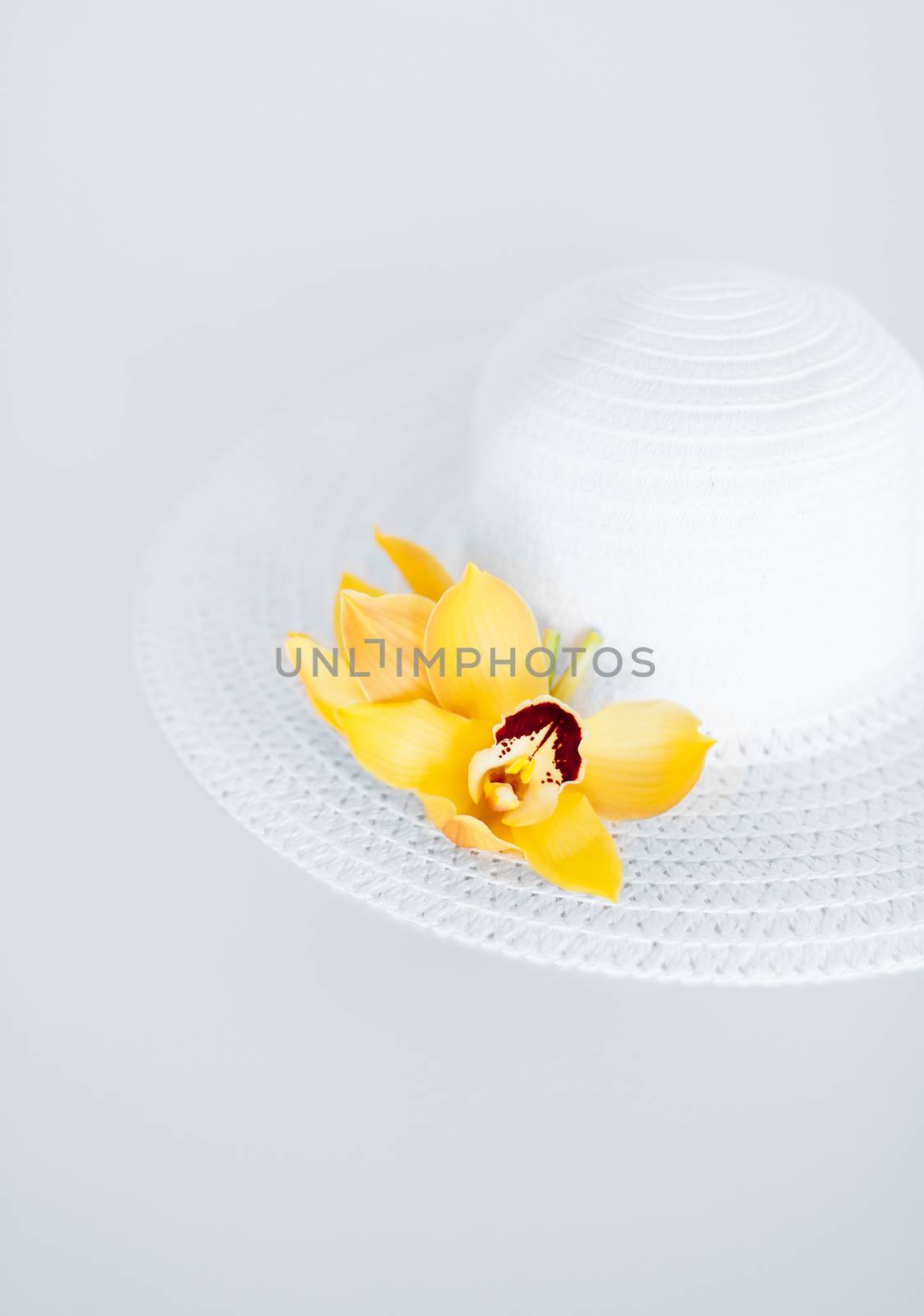 closeup of white hat and flowers by dolgachov