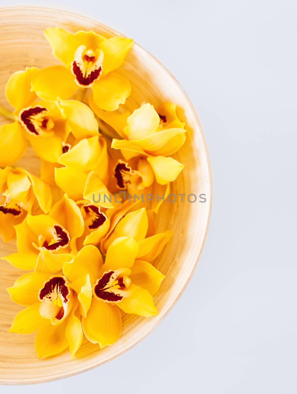 closeup of wooden bowl with orchid flowers by dolgachov