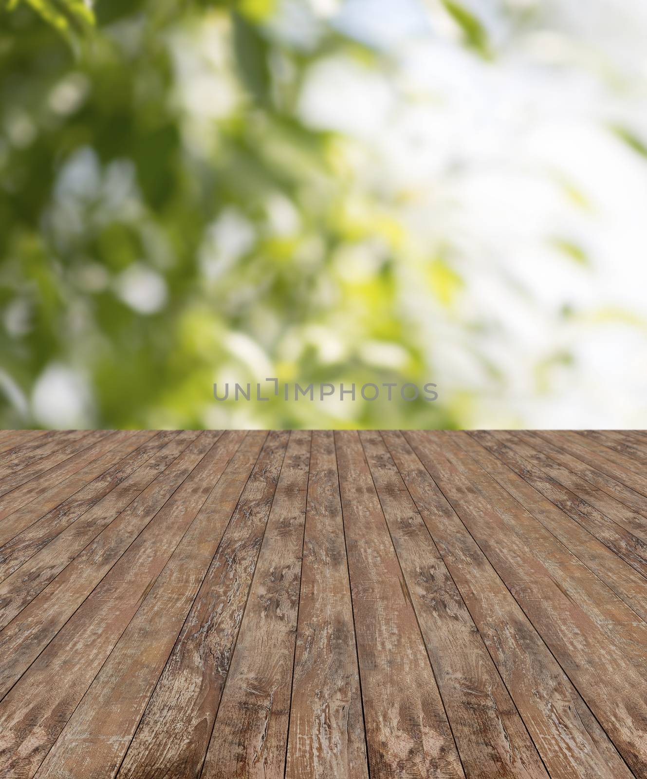 background and texture concept - wooden floor and green plants