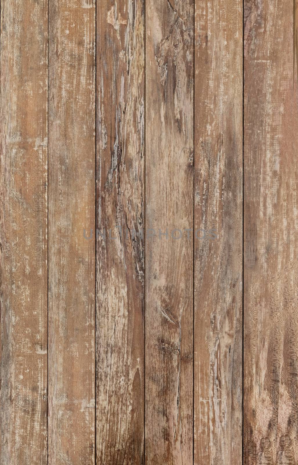 wooden floor or wall by dolgachov