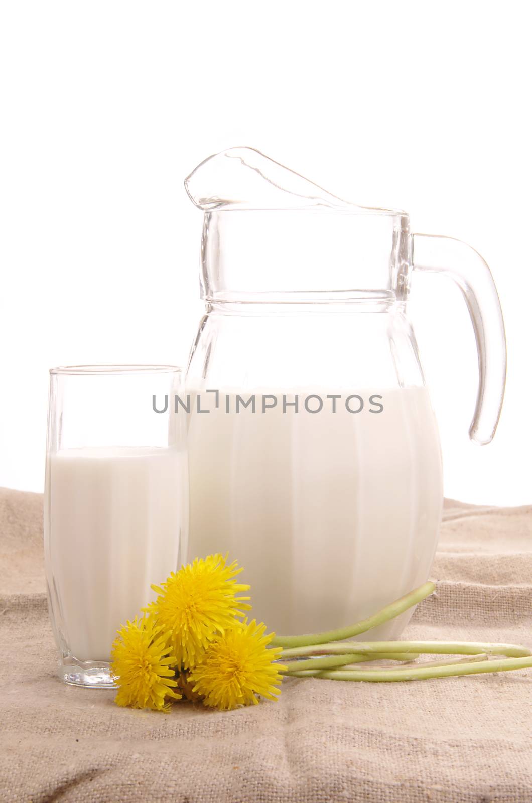 Glass jug with fresh milk and yellow flowers on white background by Ravenestling