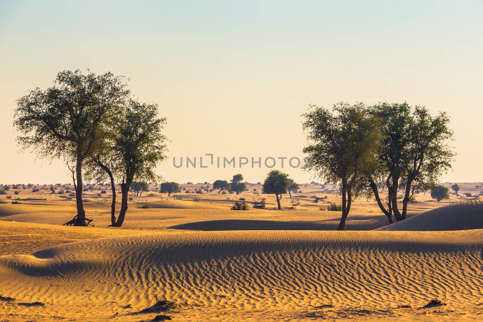  Arabian desert by oleg_zhukov