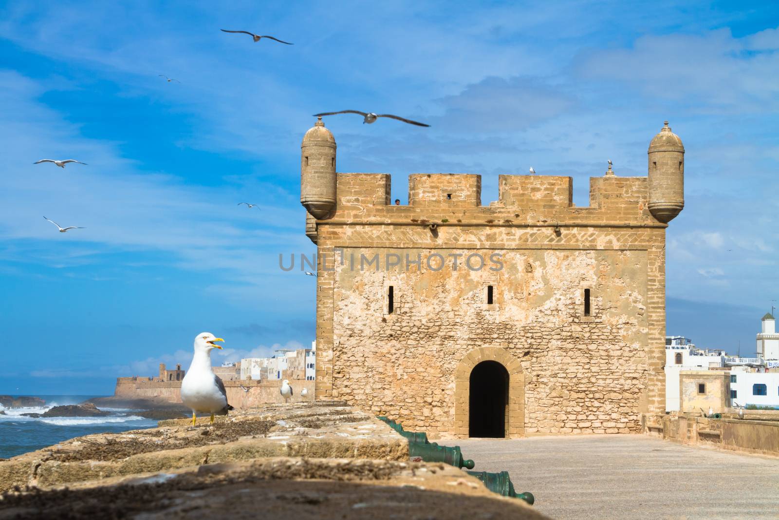 Essaouira - Magador, Marrakech, Morocco. by kasto