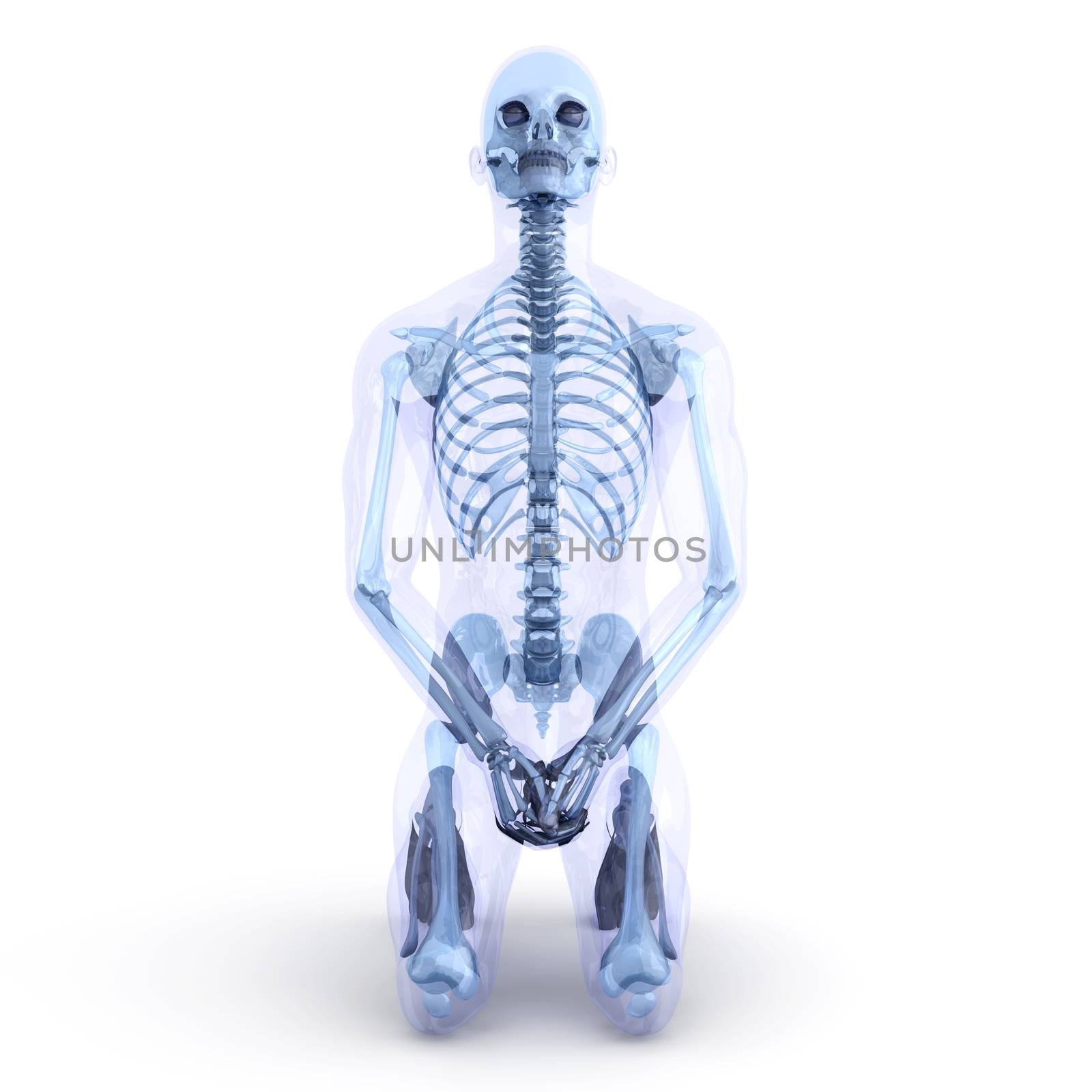 Sitting Anatomy 	 by Spectral