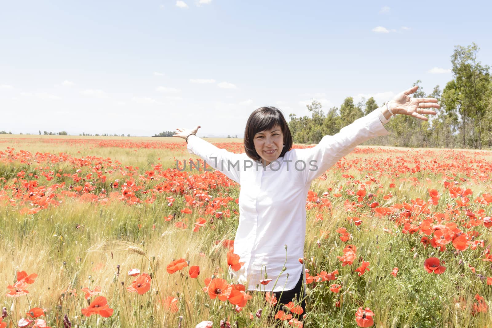 Poppies in wheat by osmar01