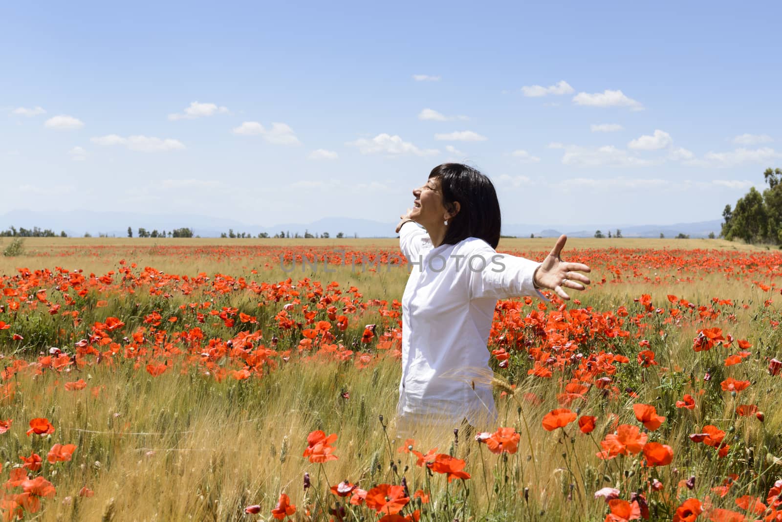 Wheat field and poppies in spring. Happy woman raises her arms.