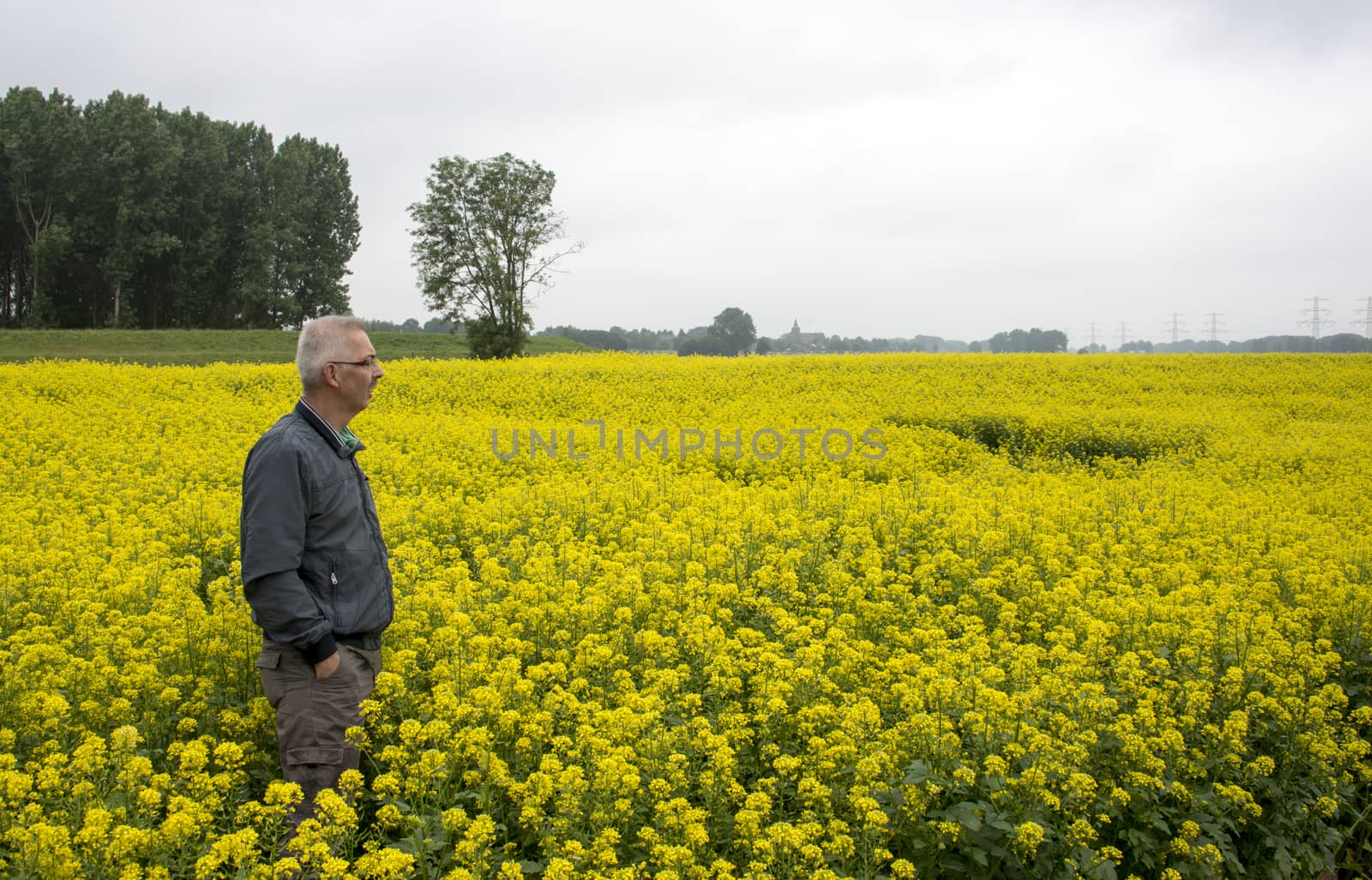 man stading in the middel of rapeseed flower field