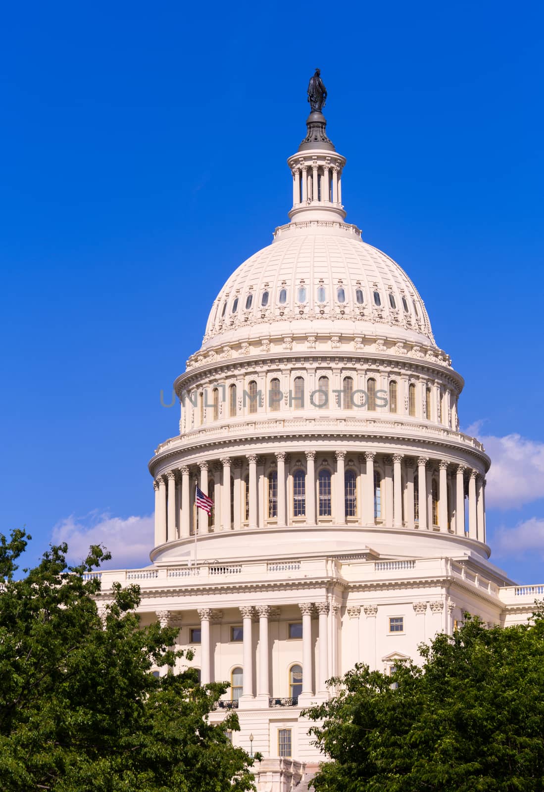 Ornate dome of the Capitol building at Congress in Washington DC in USA on a bright sunny summer day