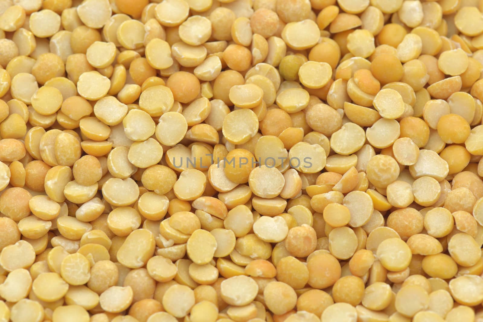 Close-up of yellow peas at studio