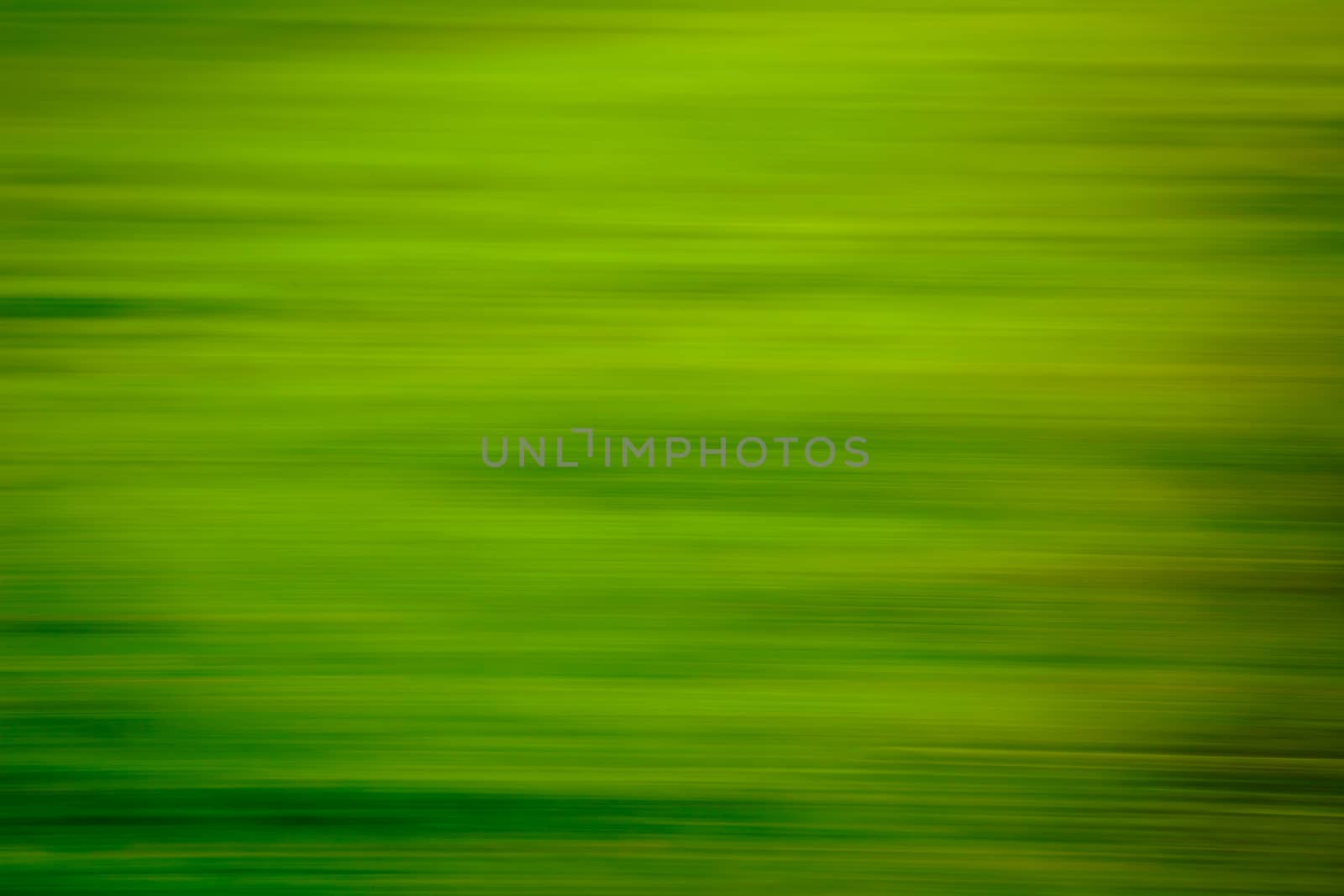 Blurred lush green background