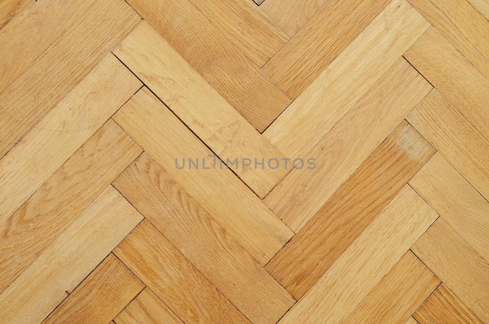 parquetry floor by sarkao