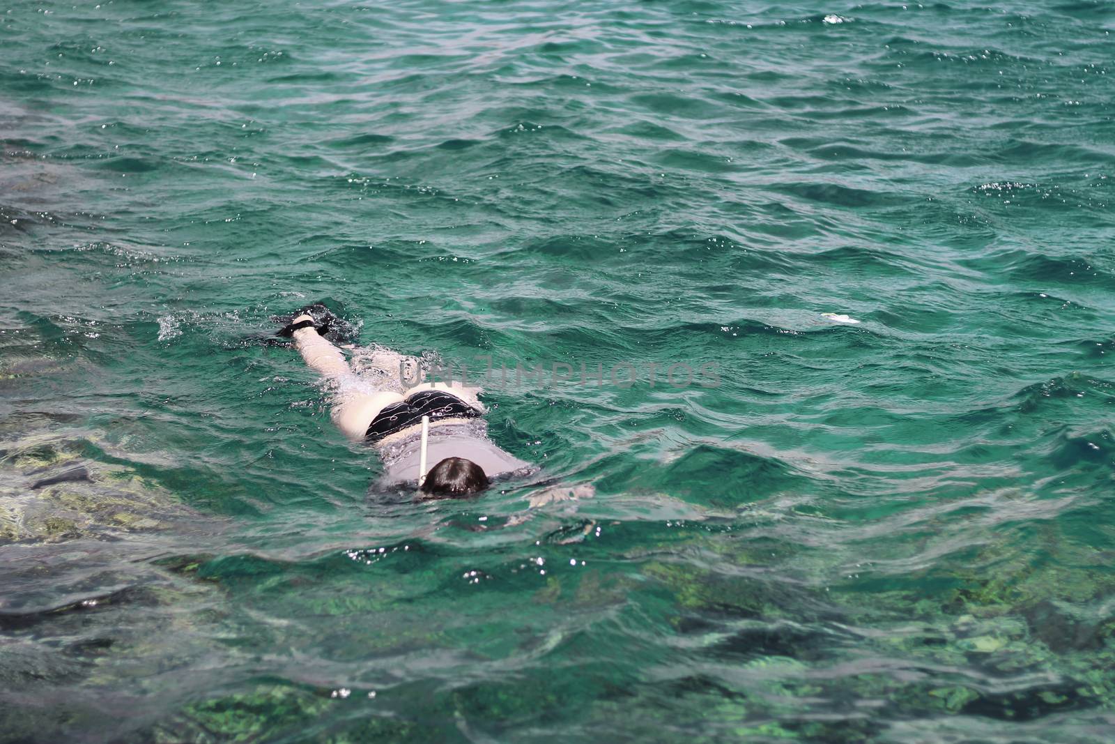 Woman photographer diving into water of Red sea