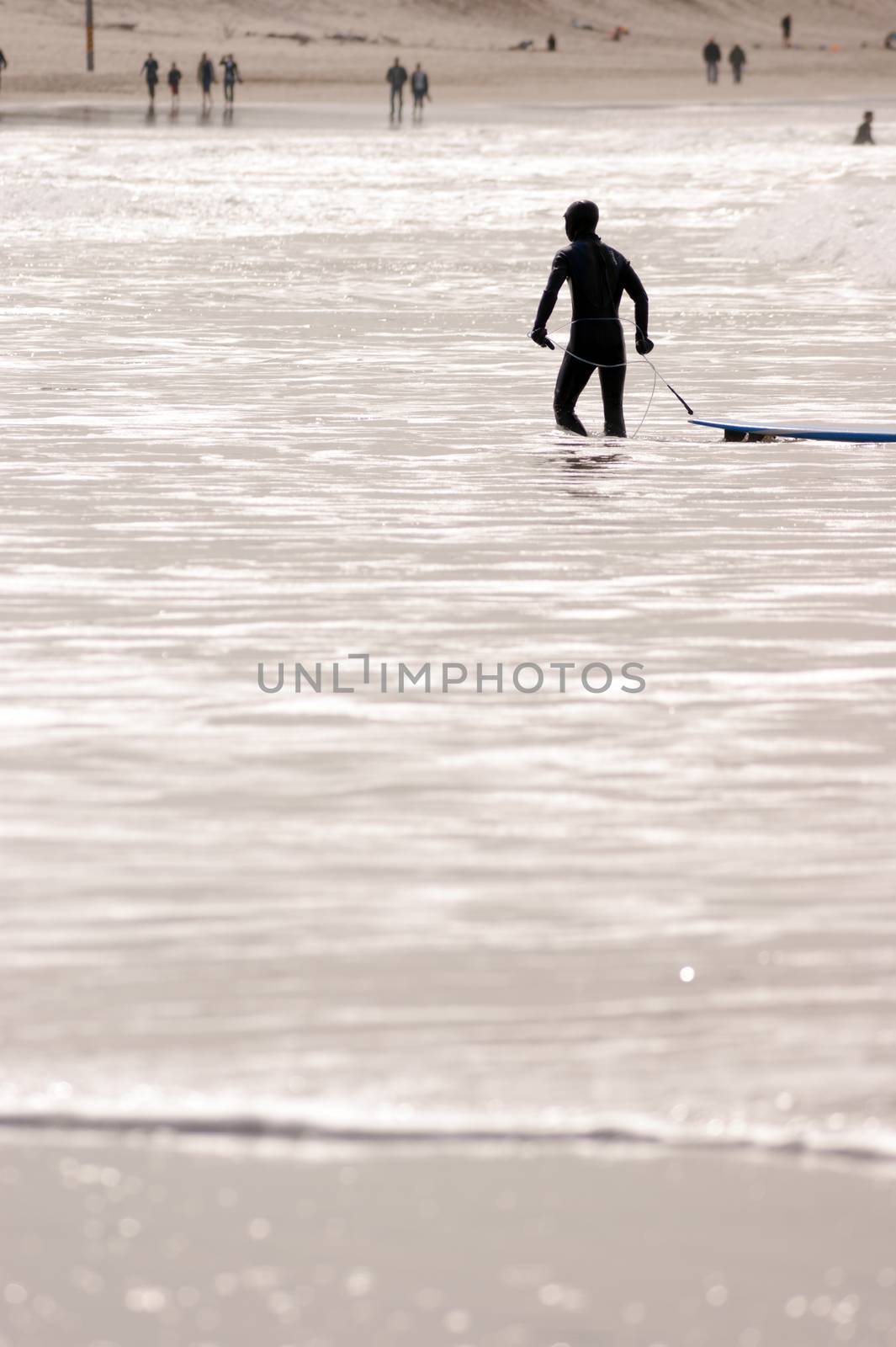 Man walks through surf pulling his board into shore