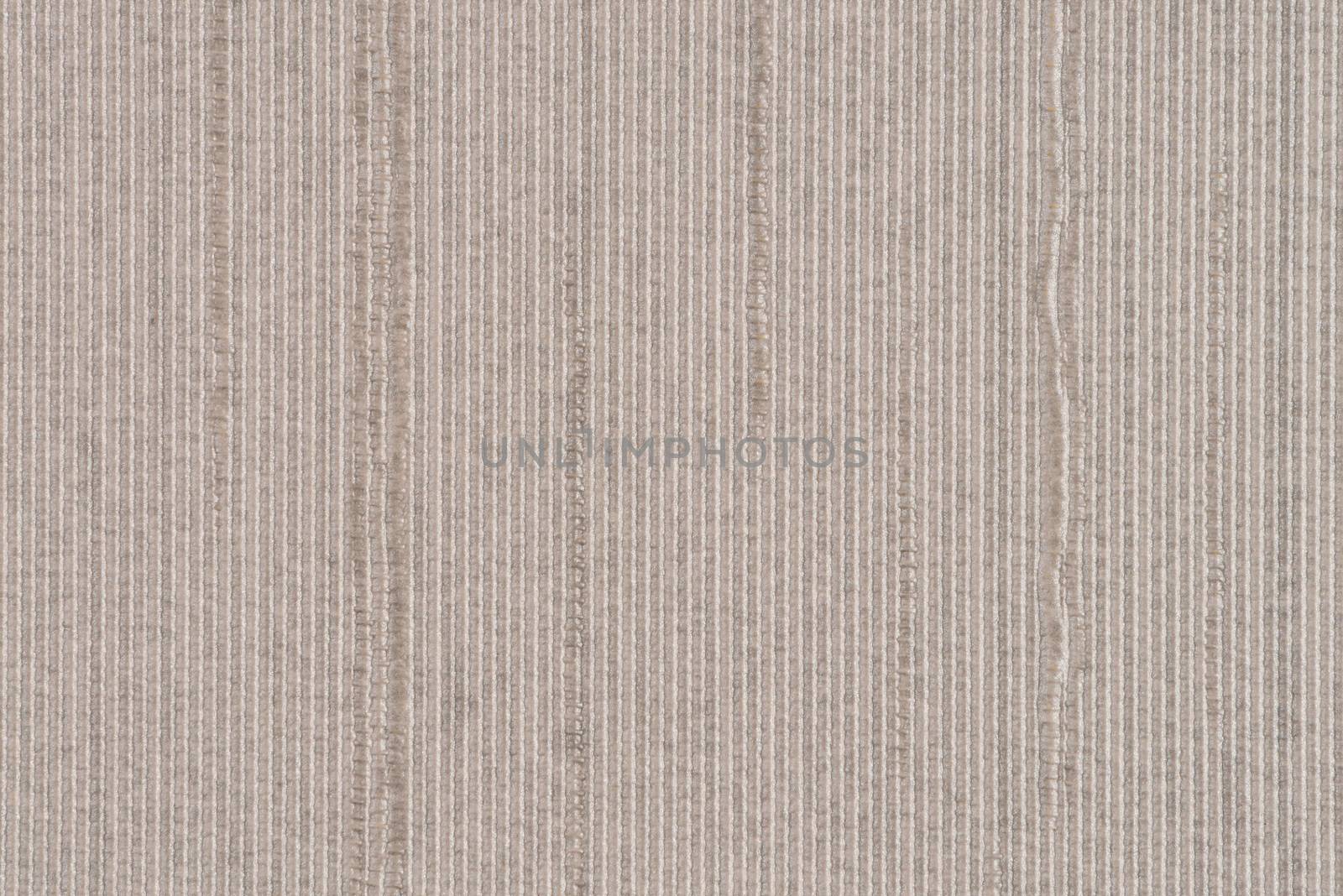 Beige vinyl texture by homydesign