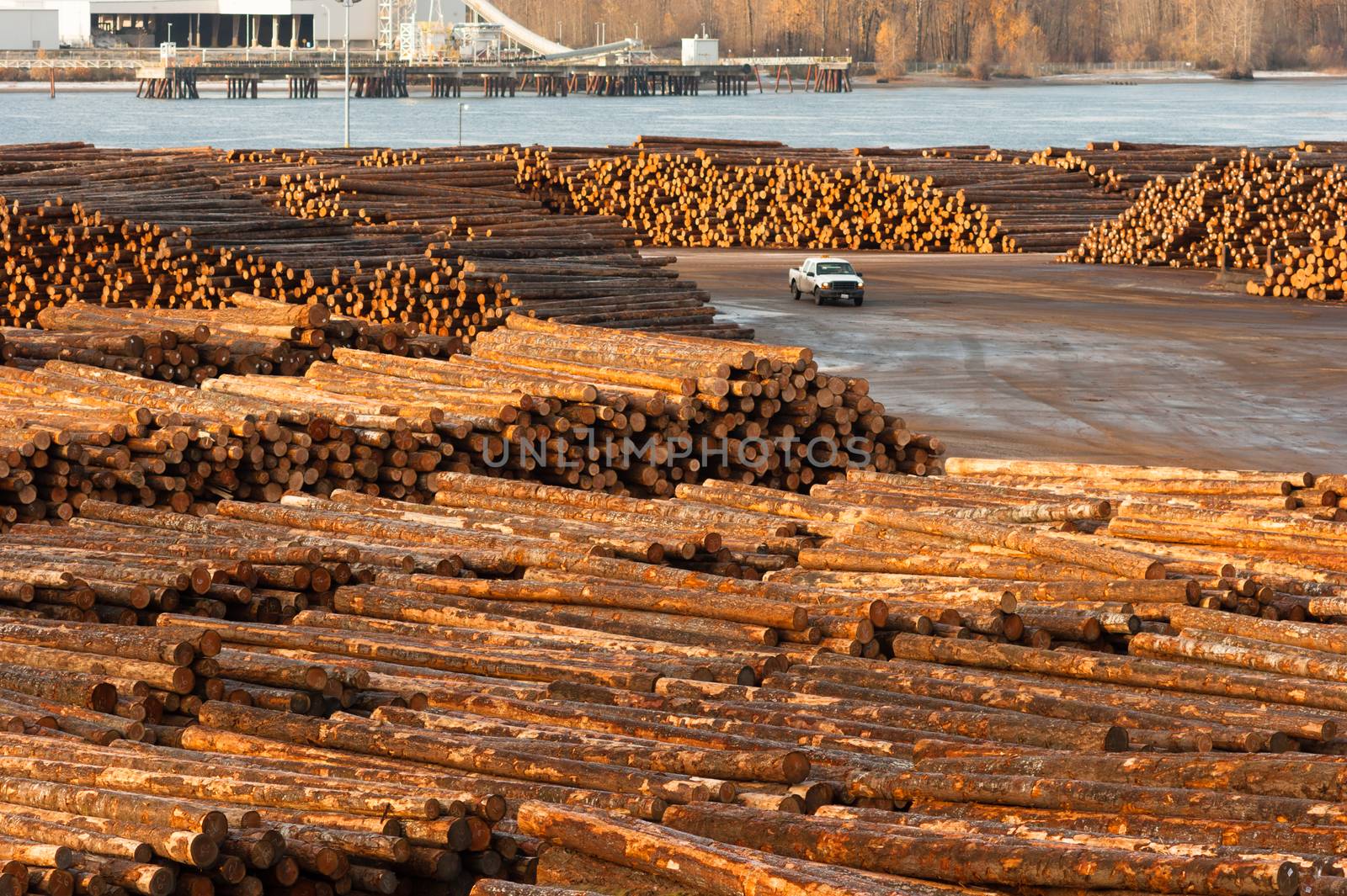 Timber Wood Log Lumber Processing Plant Riverside Columbia River