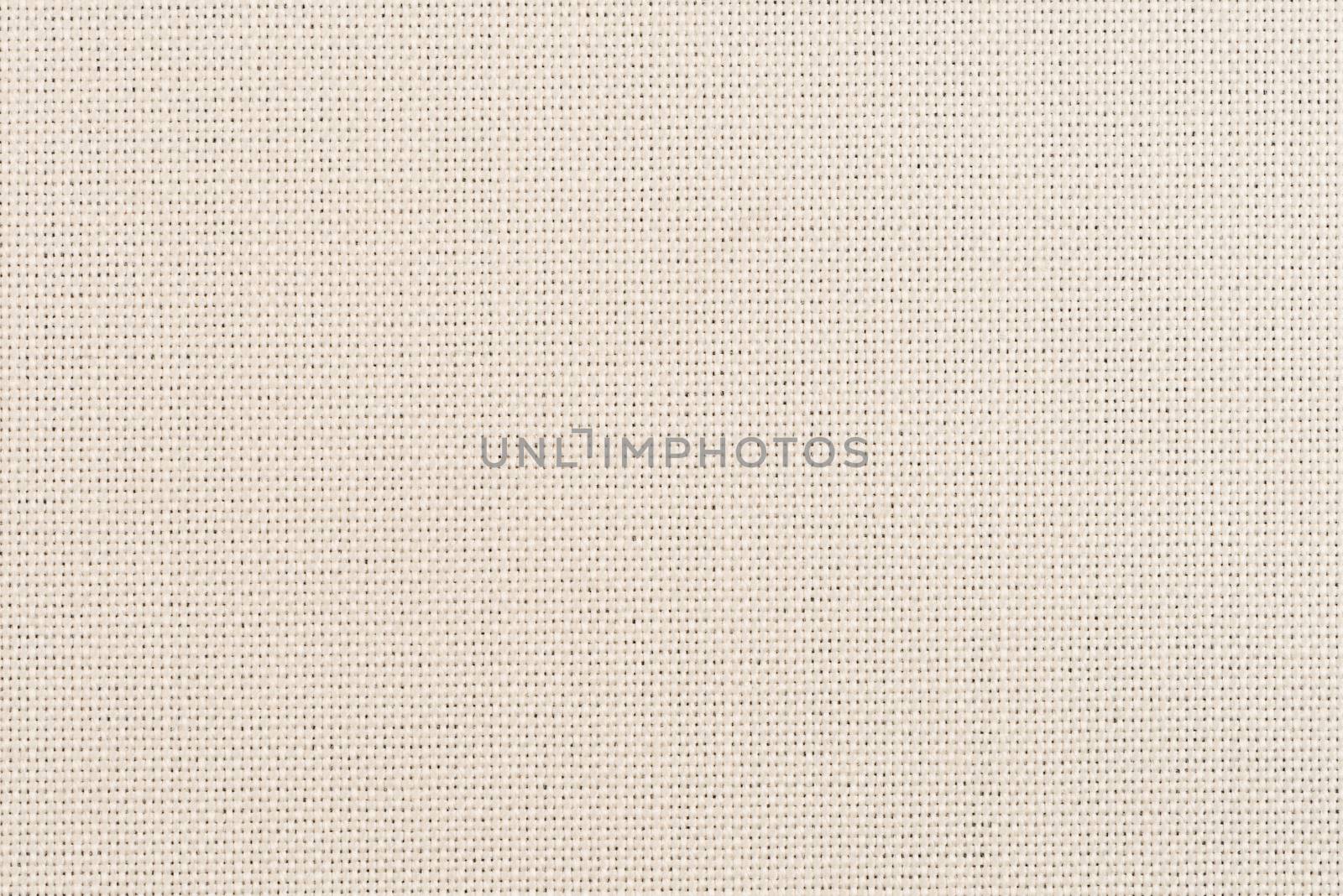 Beige vinyl texture by homydesign