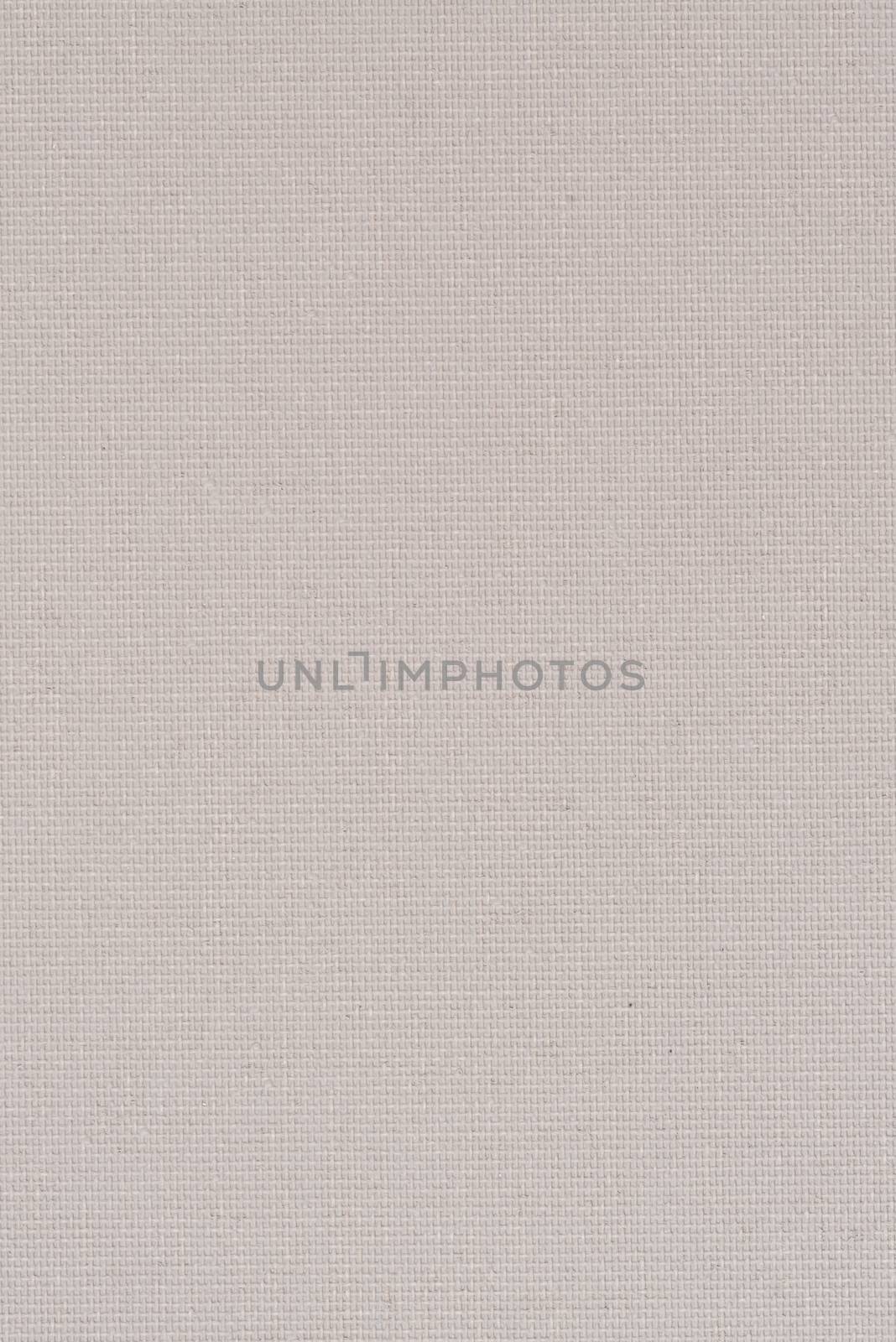 Beige vinyl texture by homydesign