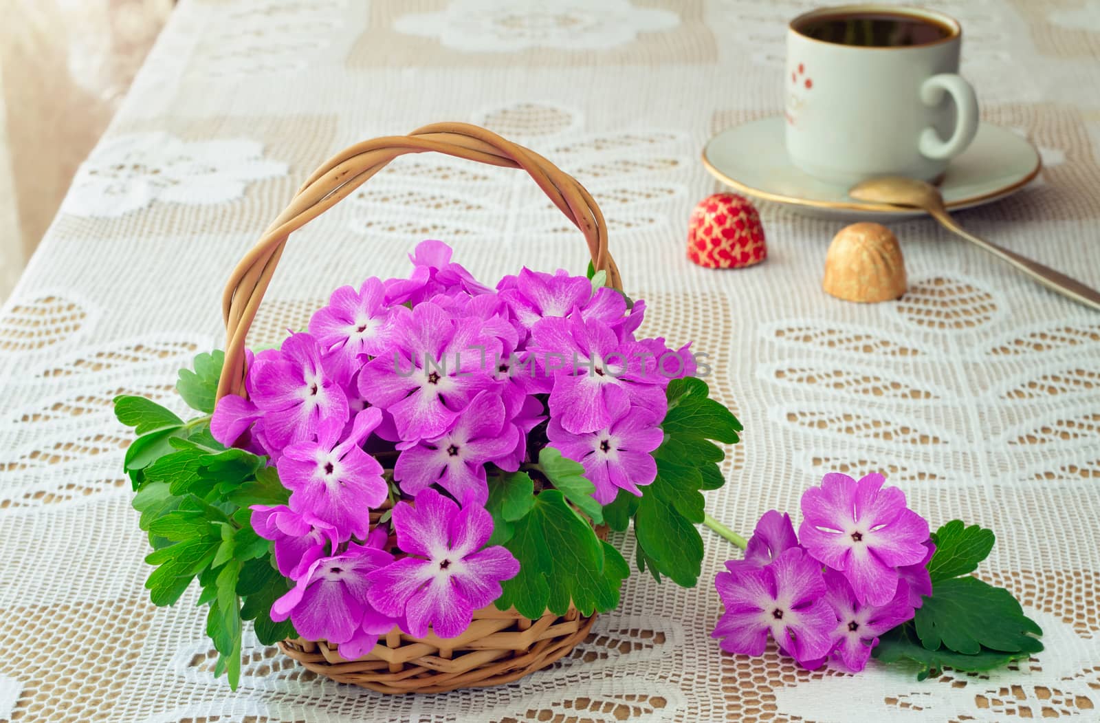  On a table on a lacy cloth there is a basket with flowers of a violet, on a coffee and candy background.