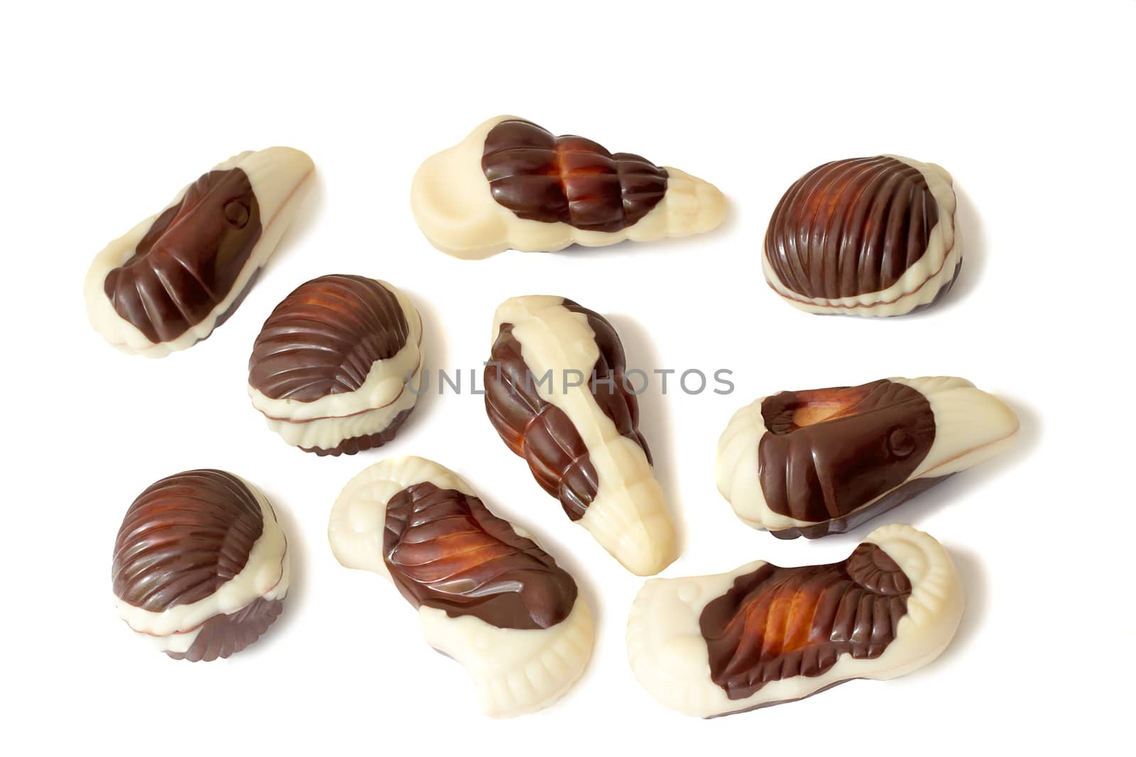 Chocolates of a various form on a white background. by georgina198