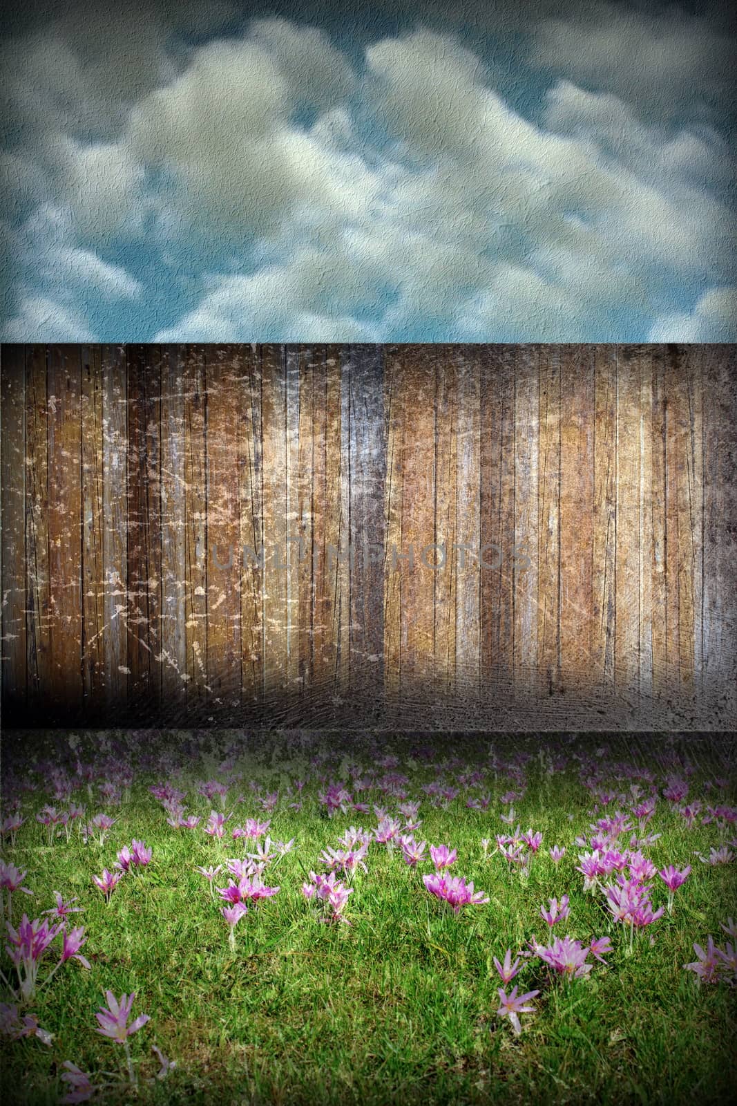 abstract distressed garden backdrop by taviphoto