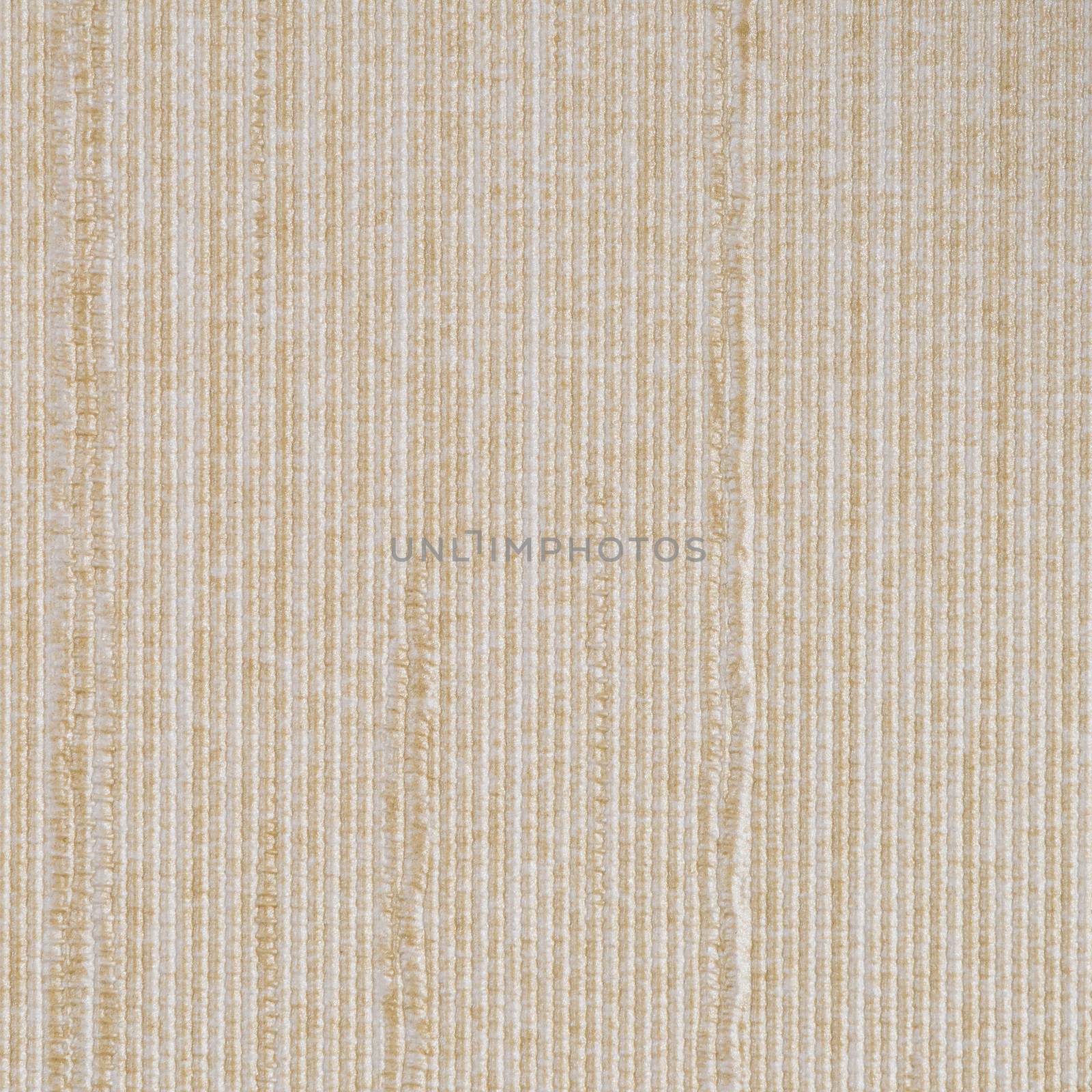 Beige vinyl texture by homydesign