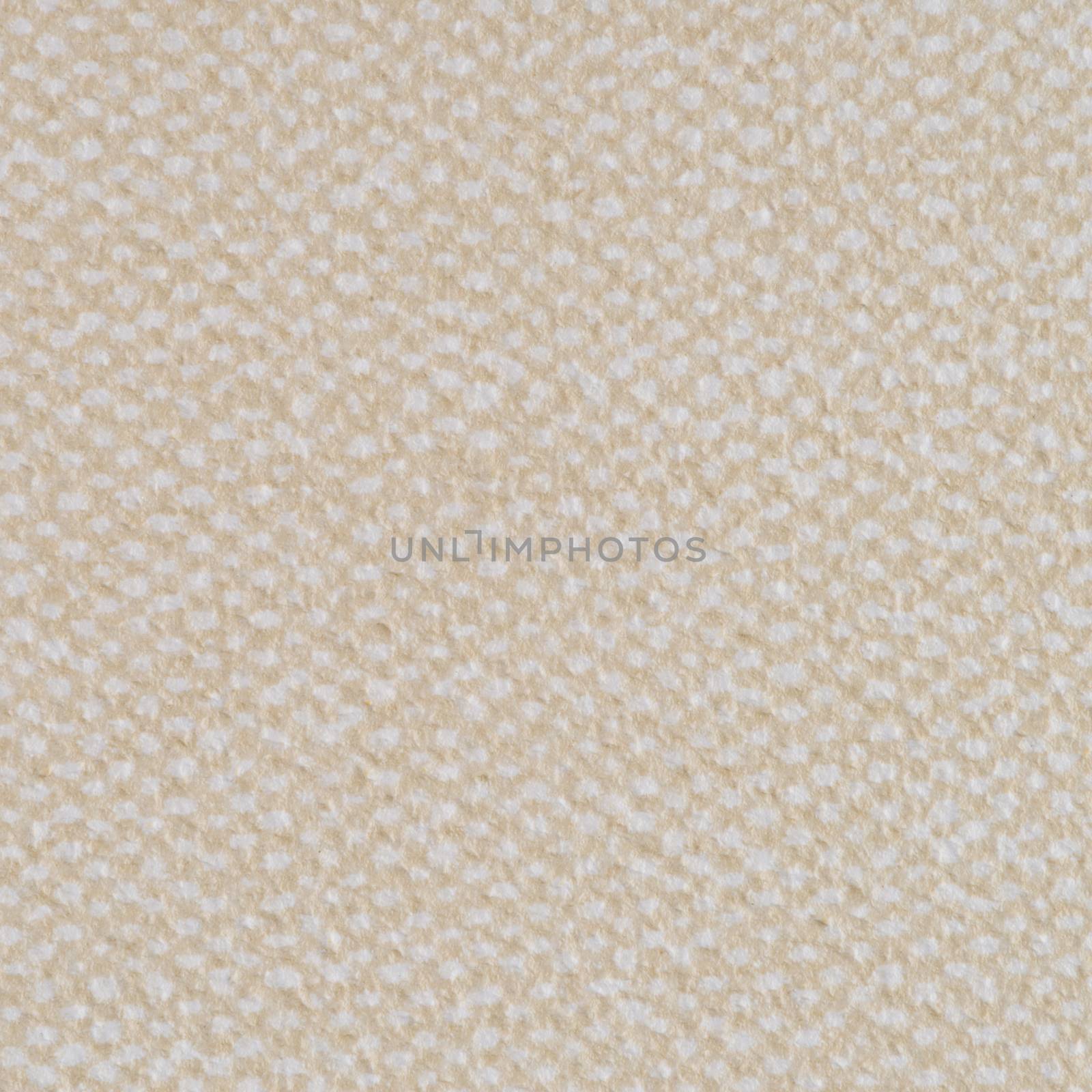 Beige vinyl texture by homydesign