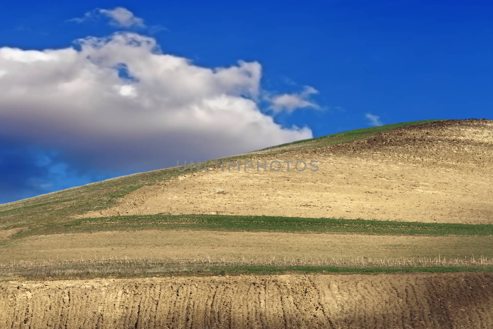 beautiful rural landscape, plowed hill and blue sky