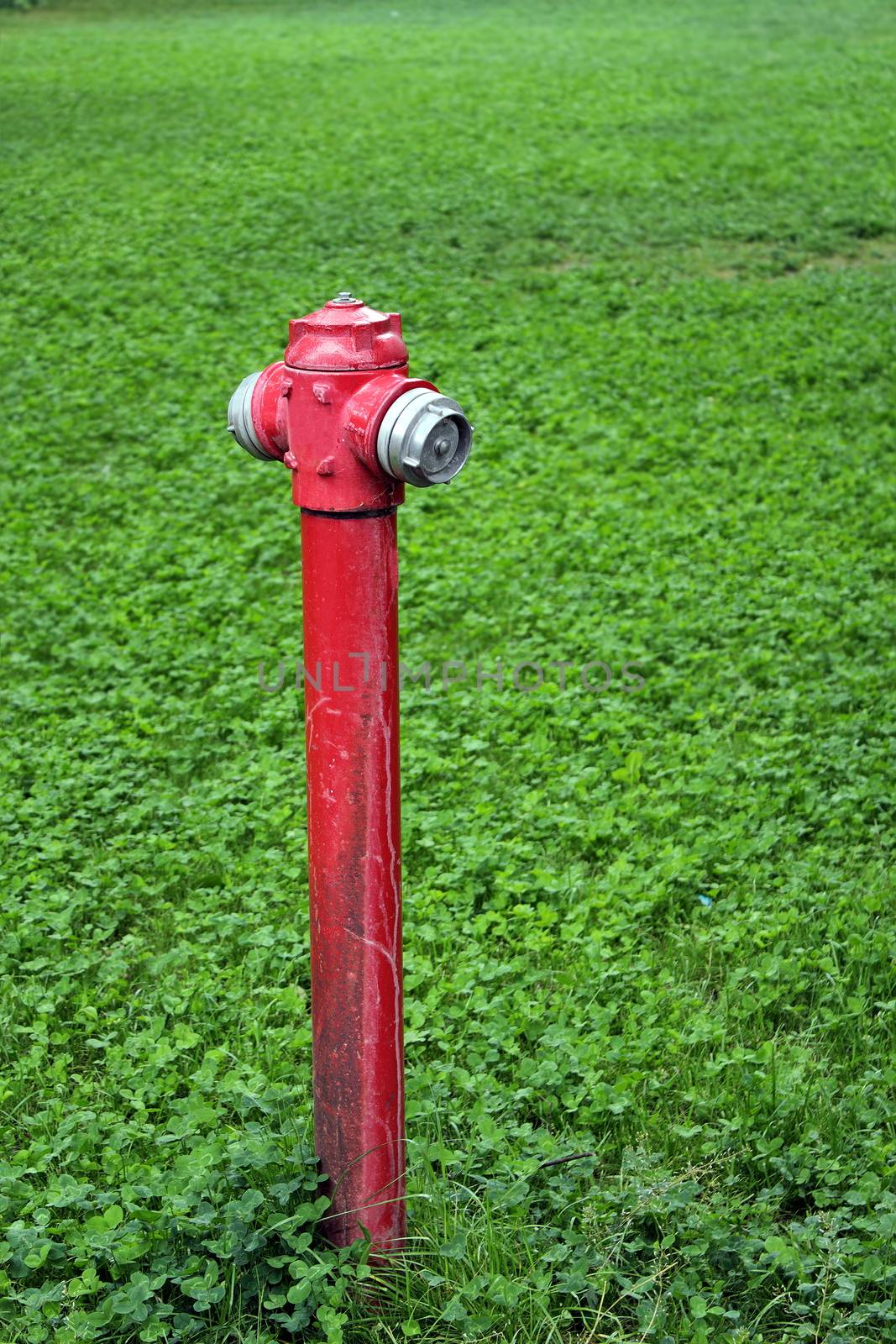 old red hydrant by taviphoto
