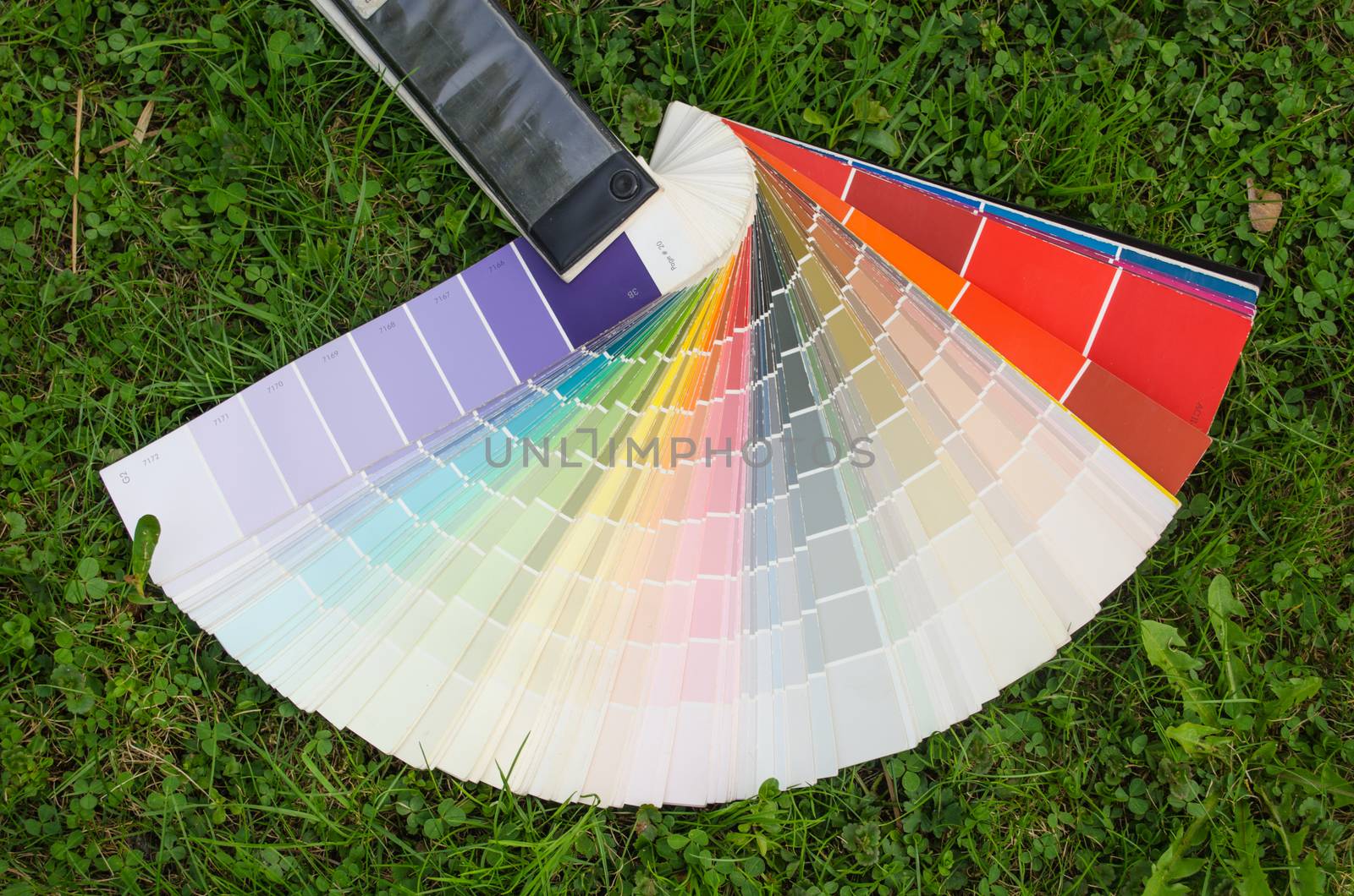 rainbow color palette guide on the meadow outdoor