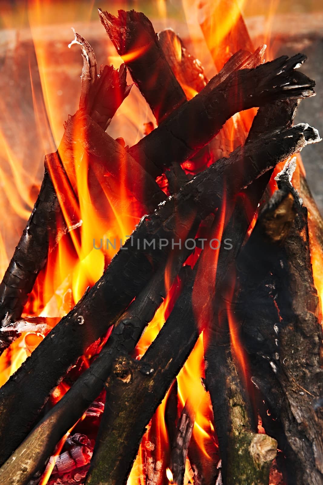 Camp Fire by Gudella