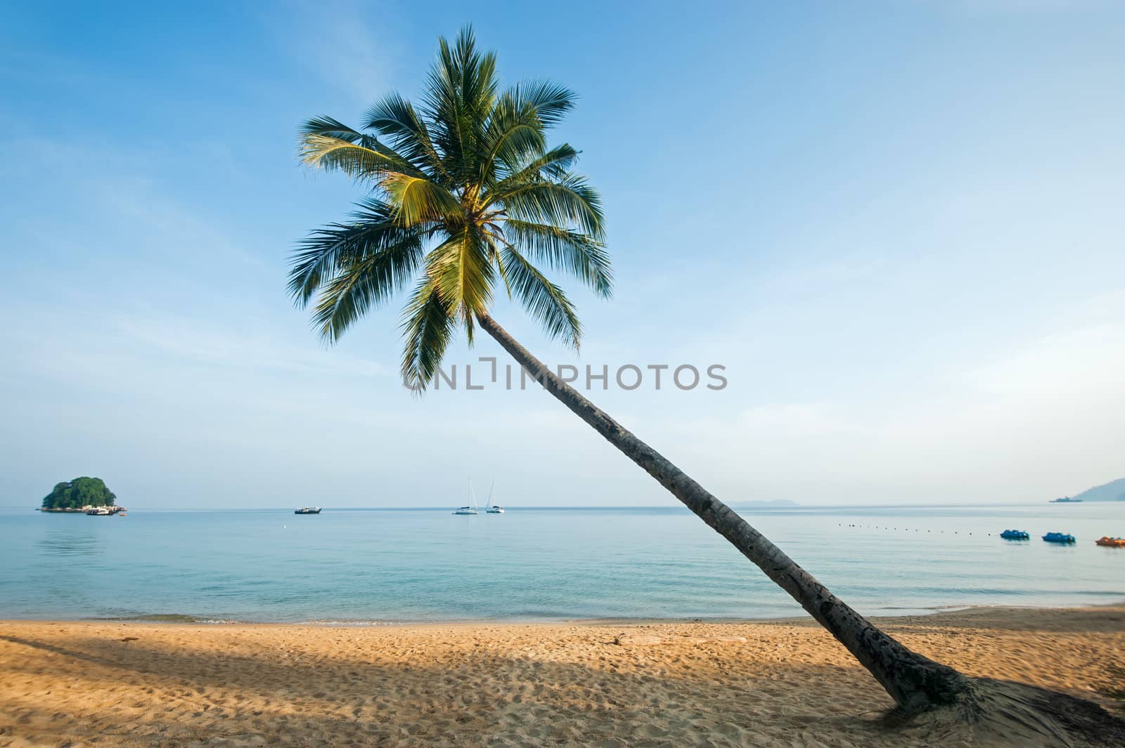 Tioman island, Malaysia by think4photop