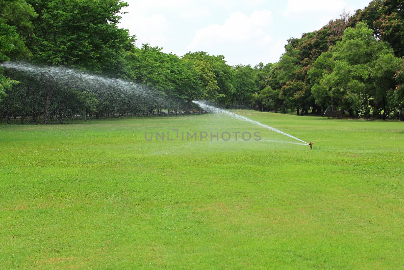 Water sprinkler