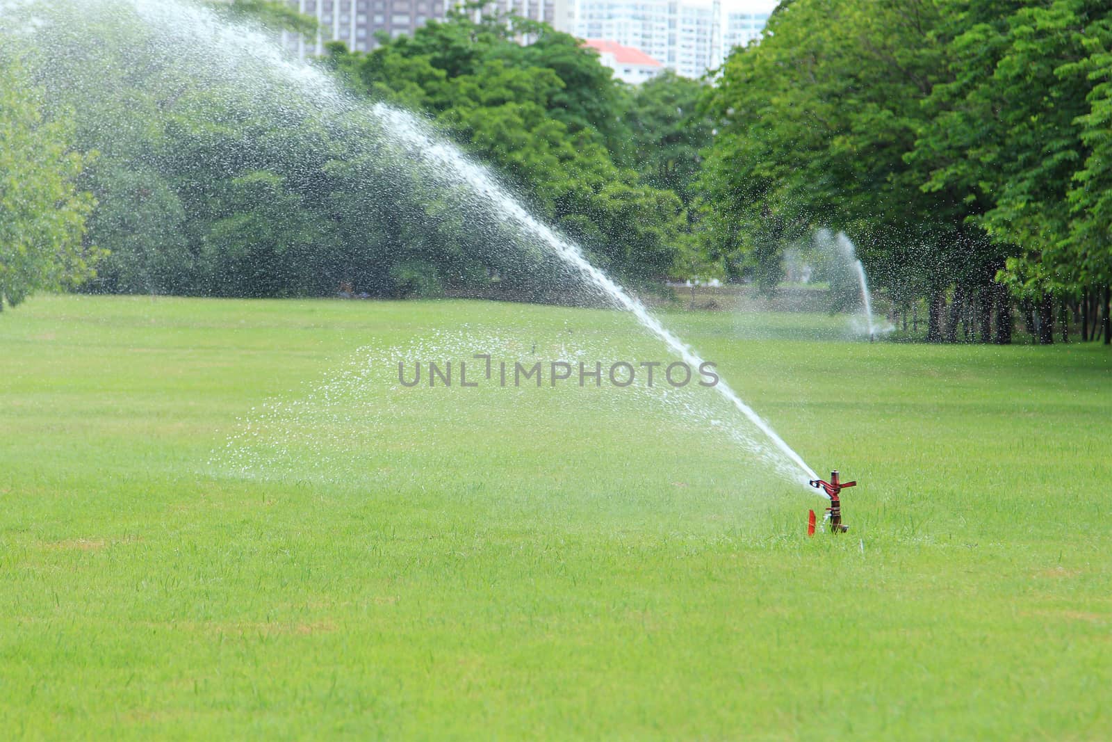 Water sprinkler