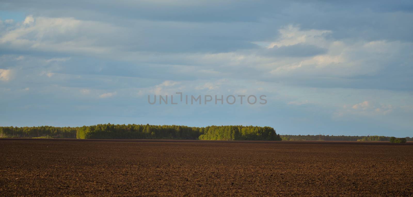 Brown agriculture field and blue sky by cherezoff
