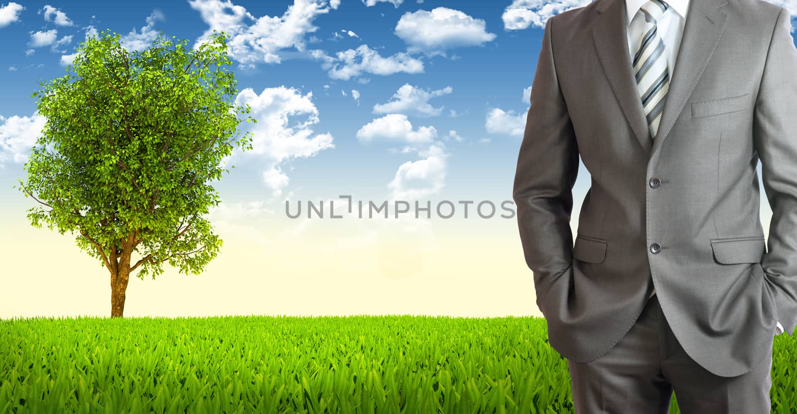 Businessman in suit. Tree and green landscape as backdrop