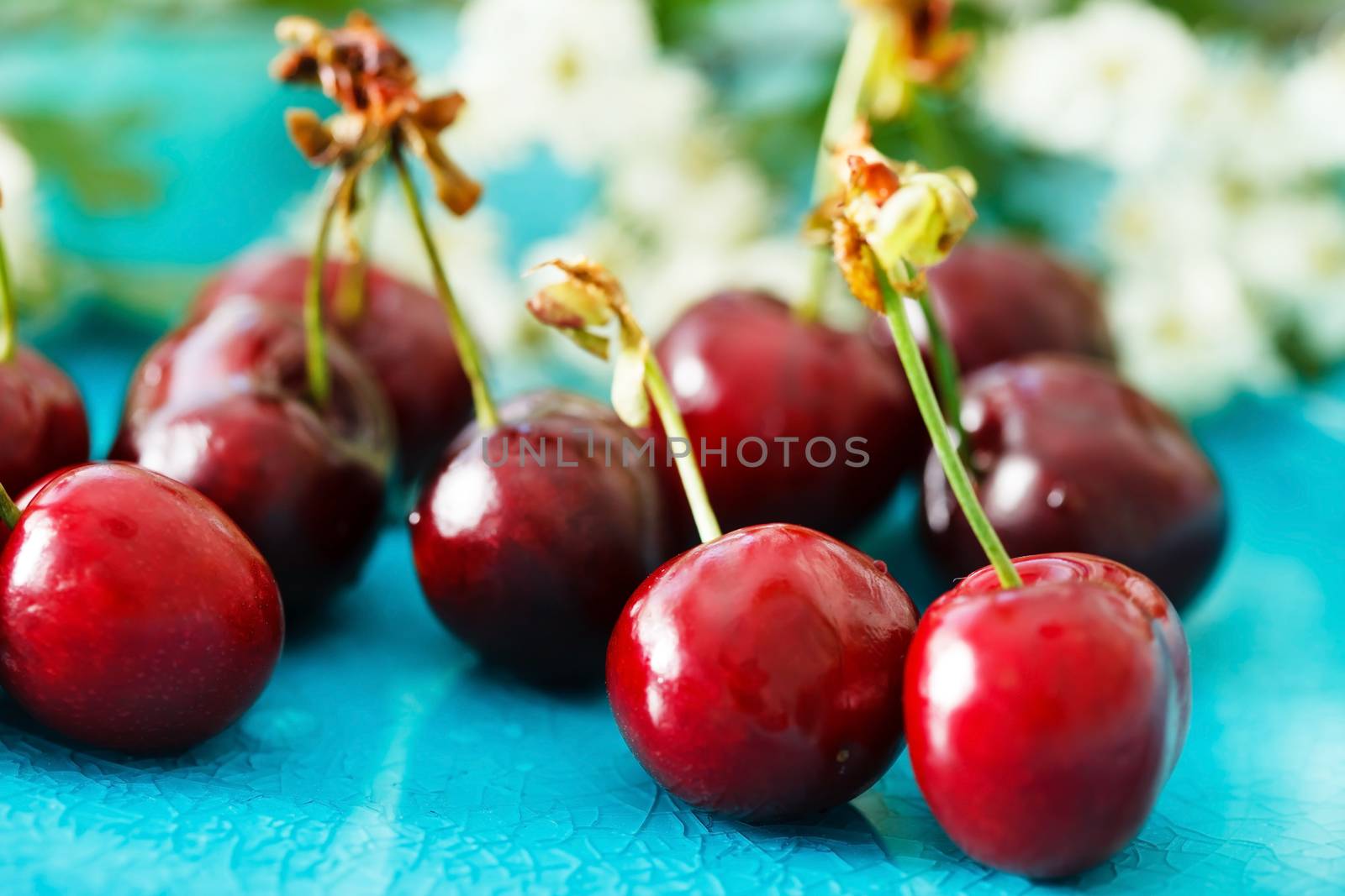 fresh cherries by shebeko