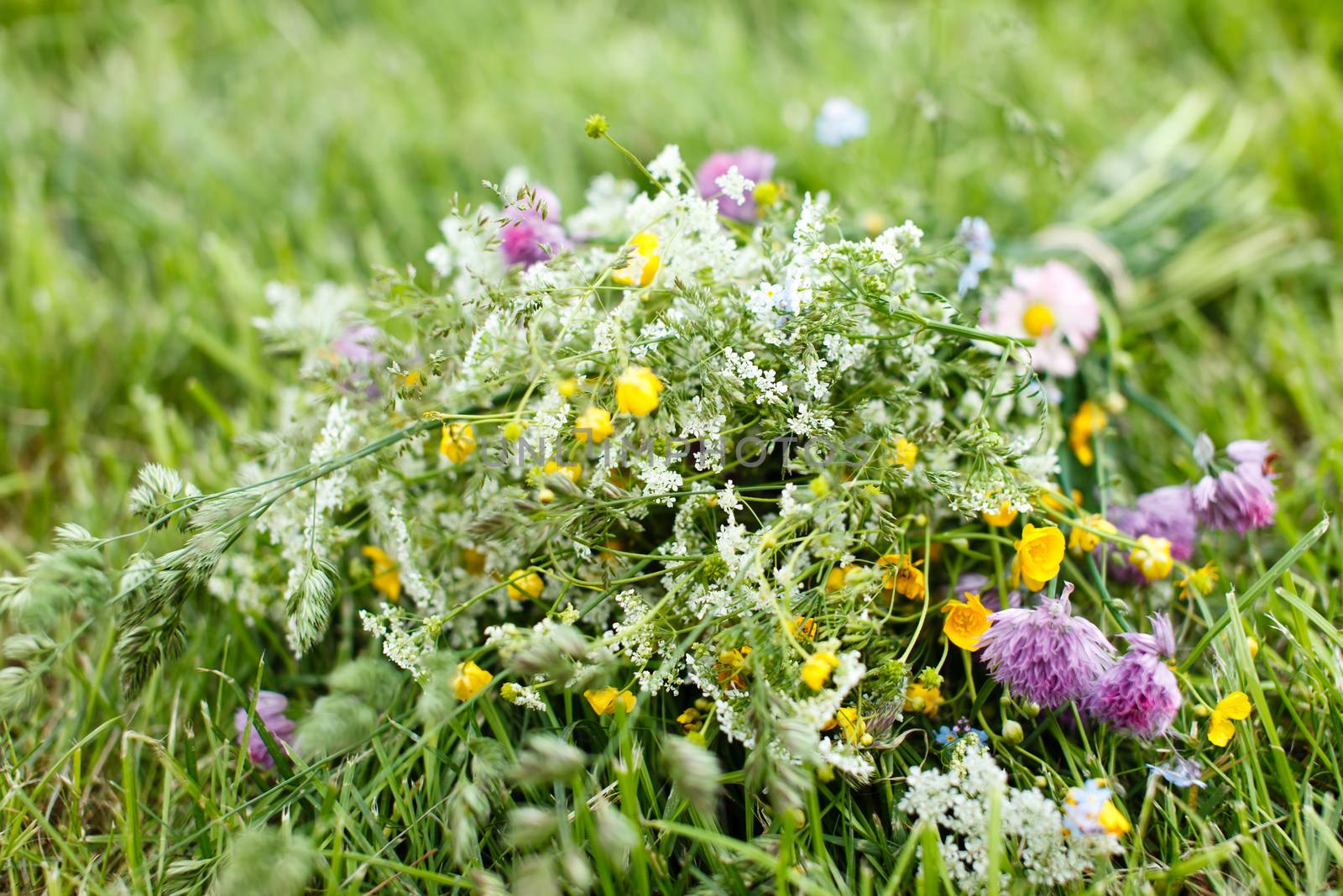 bouquet of bright wildflowers by shebeko