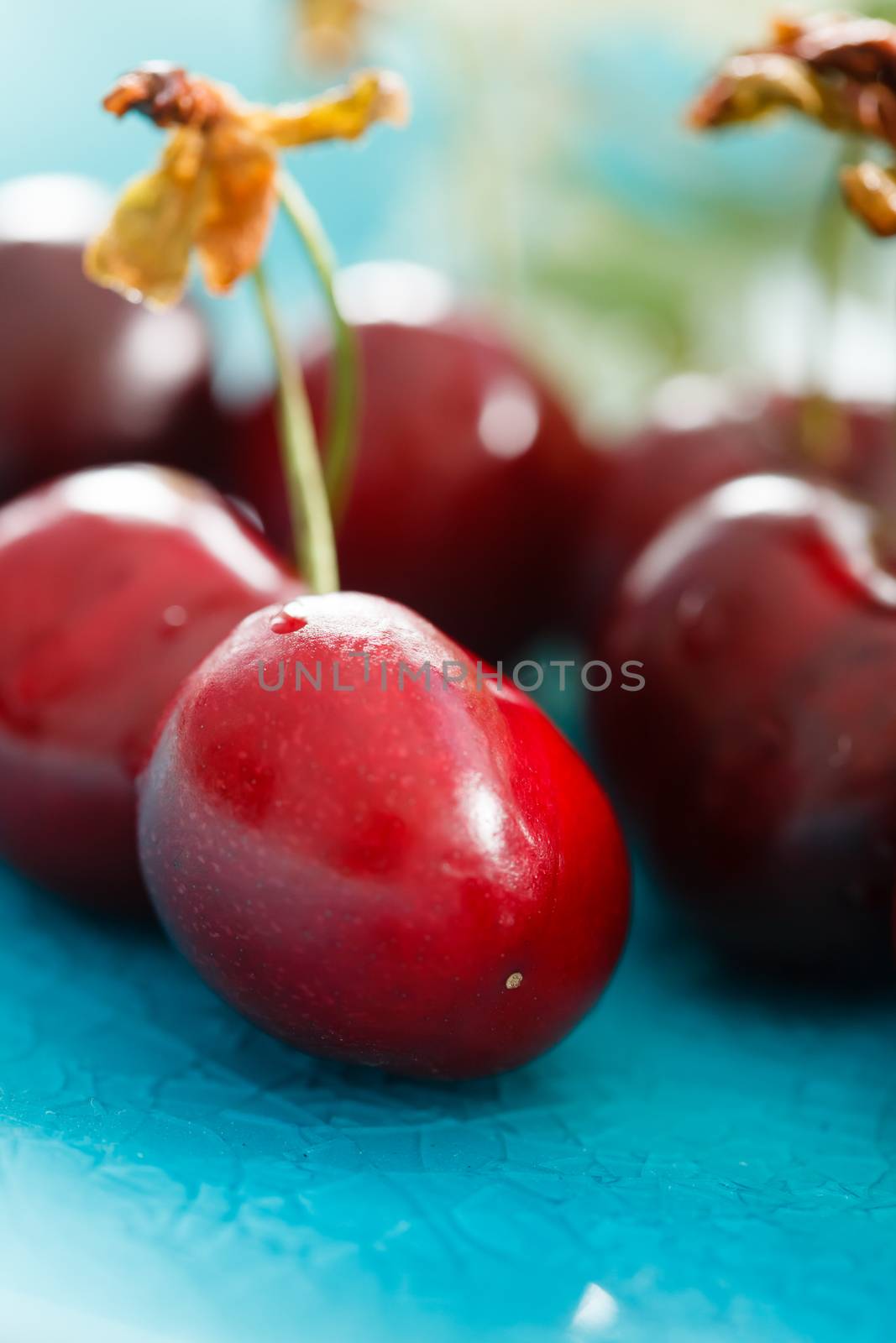 fresh cherries by shebeko