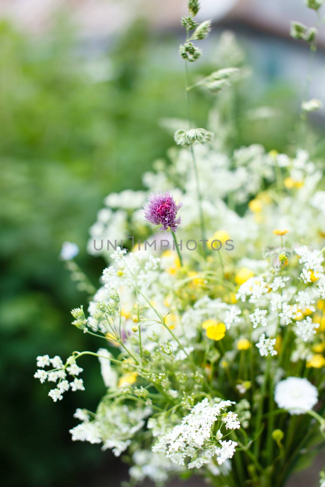 bouquet of bright wildflowers by shebeko