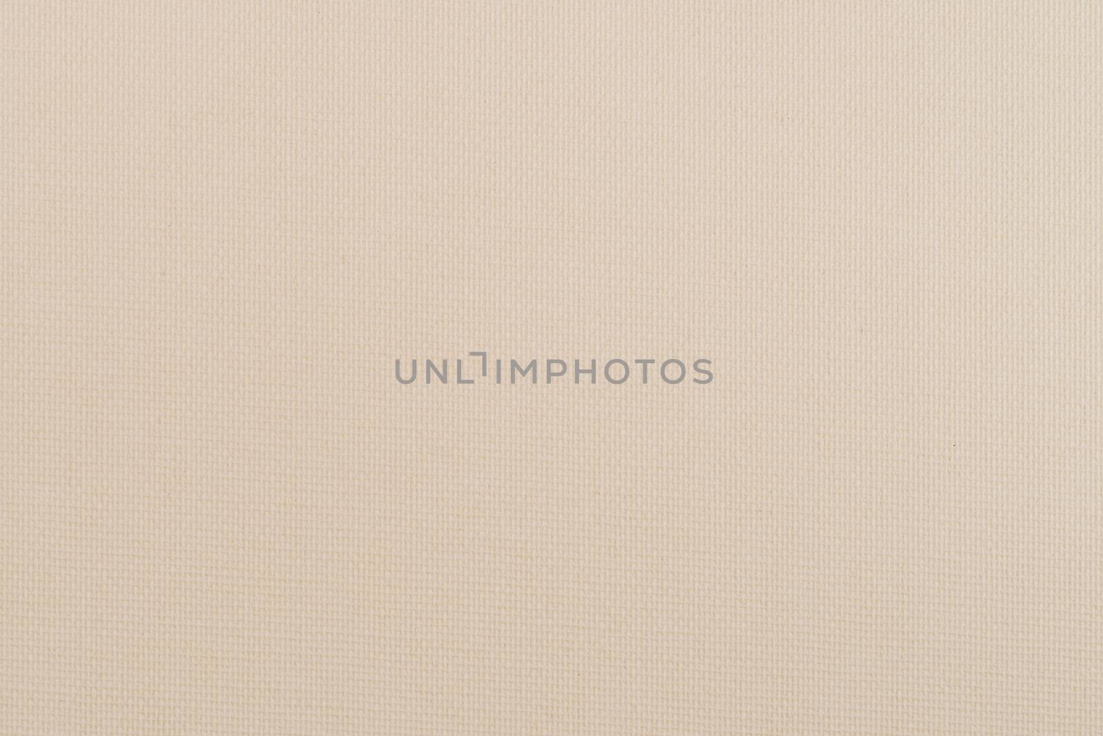 Beige vinyl texture by homydesign