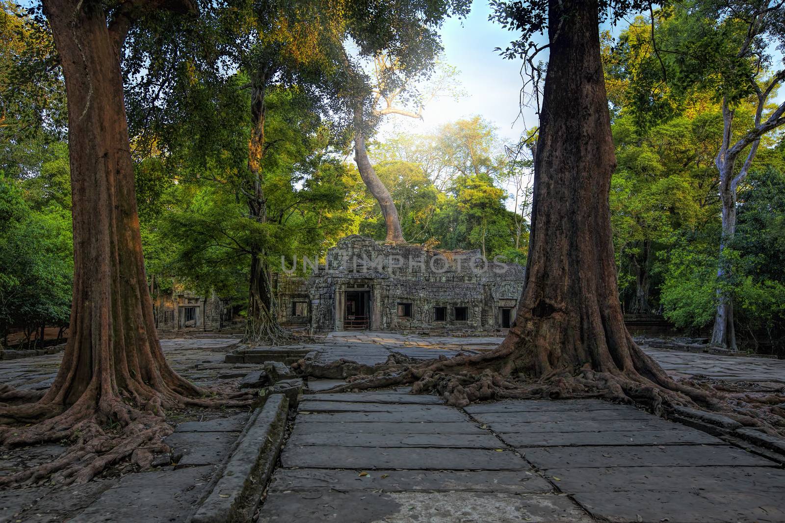 Sunrise over the Ta Phrom temple in Angkor, Cambodia