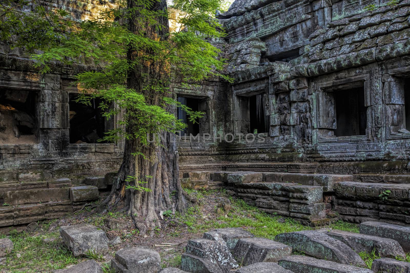 Sunrise over the Ta Phrom temple in Angkor, Cambodia