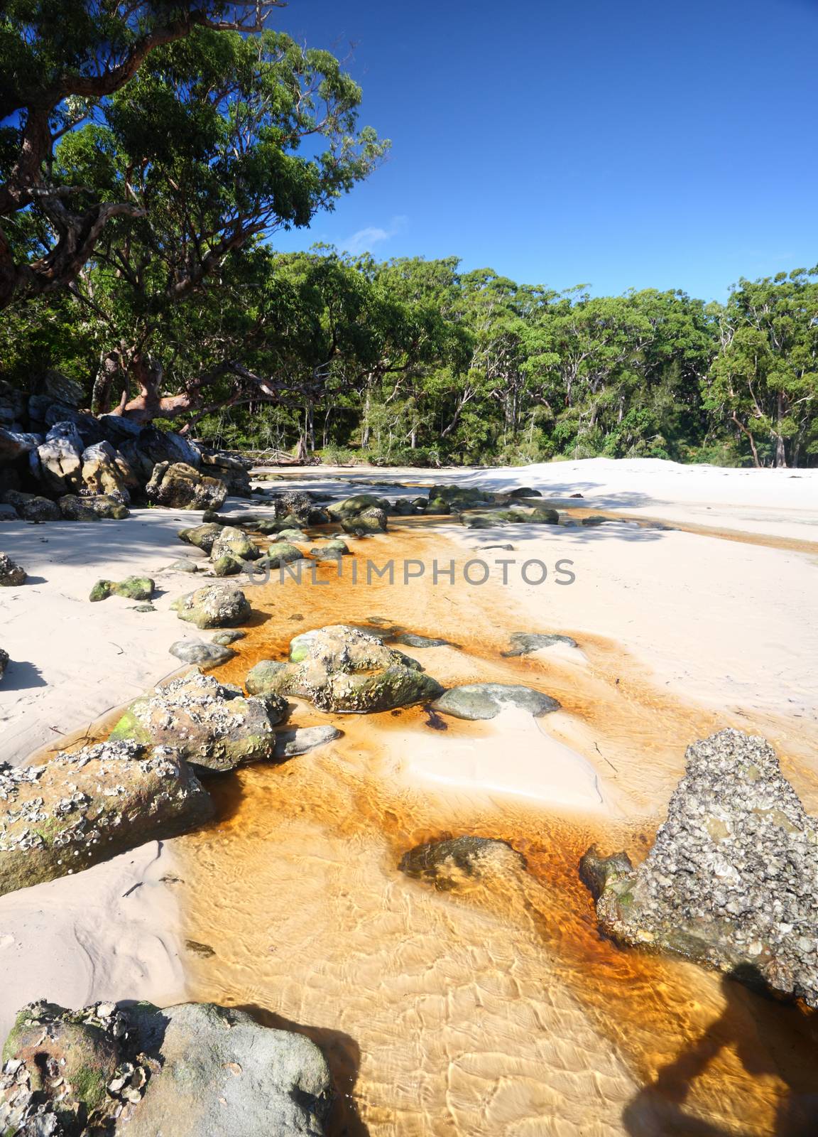 Telegraph Creek flowing out from the bush twards the ocean, Jervis Bay territory Australia