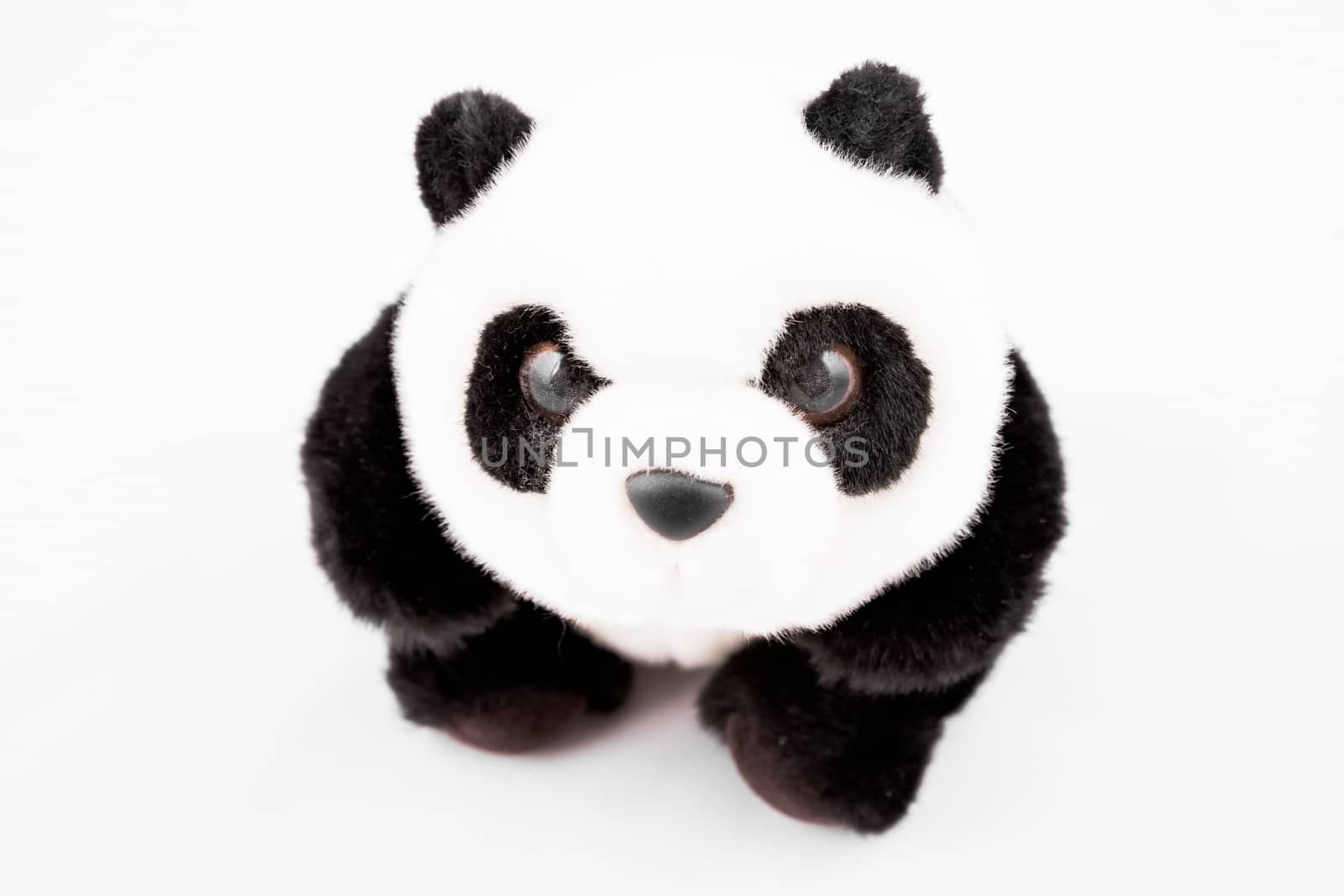 Panda teddy bear stuffed toy on white background