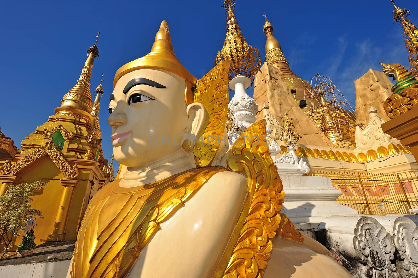 Lion Sculpture in Yangon , Myanmar by think4photop