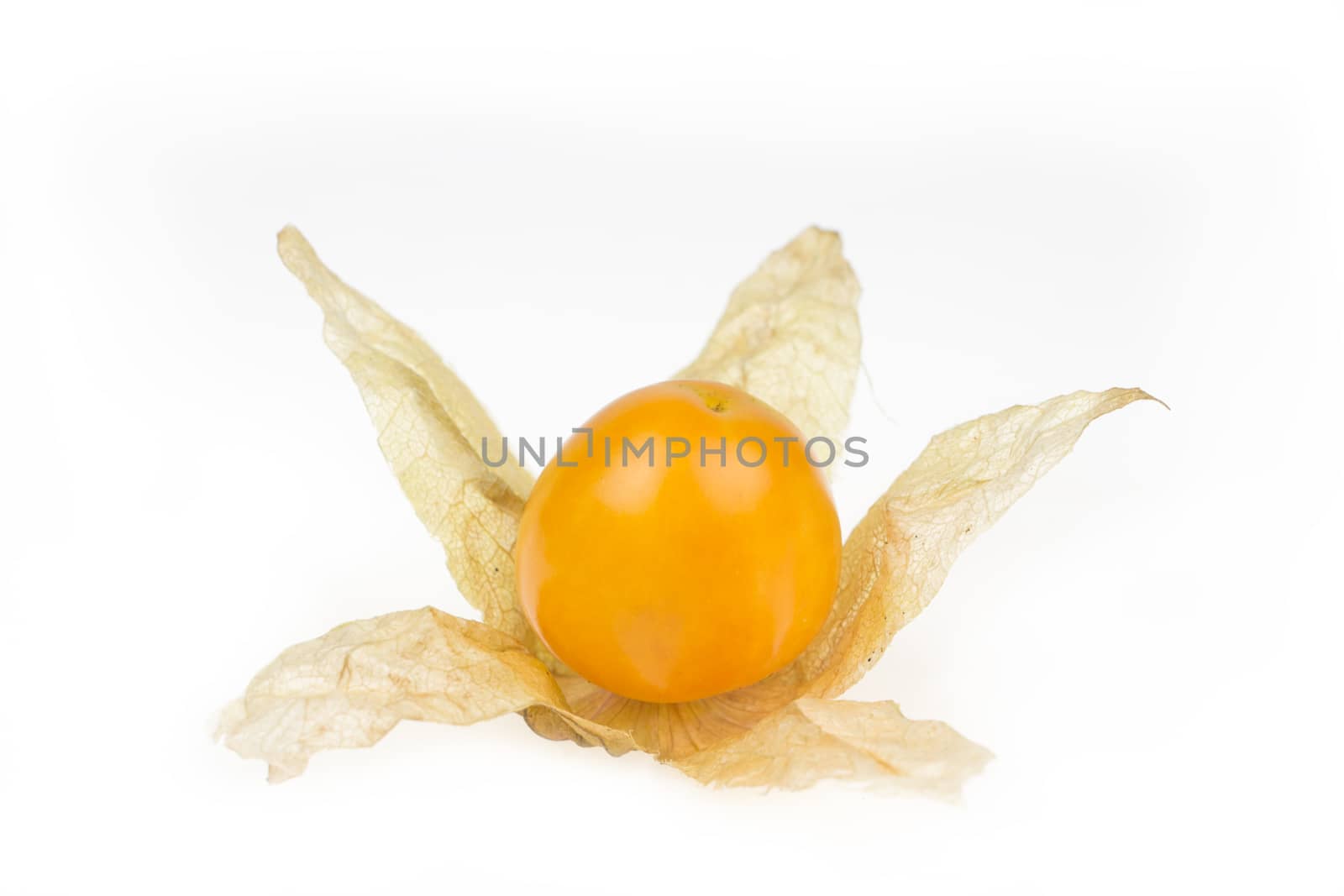 Cape gooseberry, physalis on white background. 