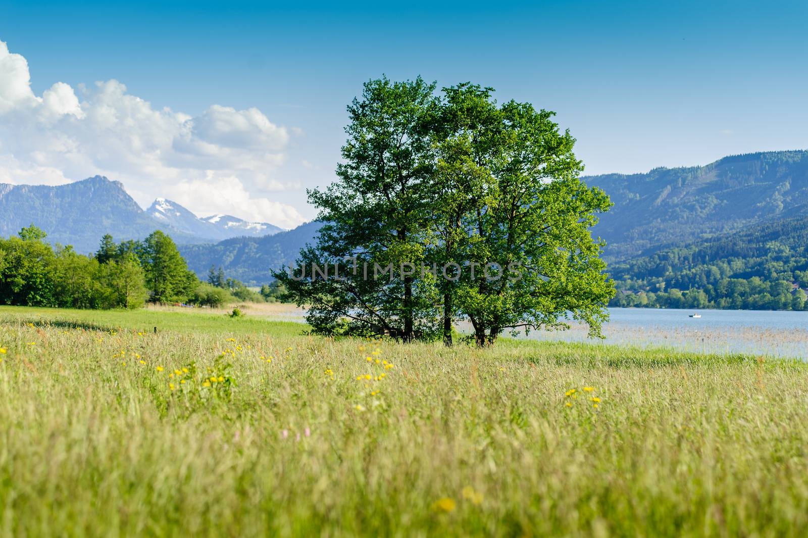 Mountains behind a summer landscape taken in salzkammergut, austria